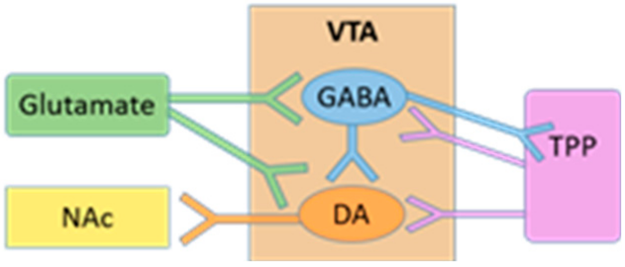 Chemosensors 06 00001 g002