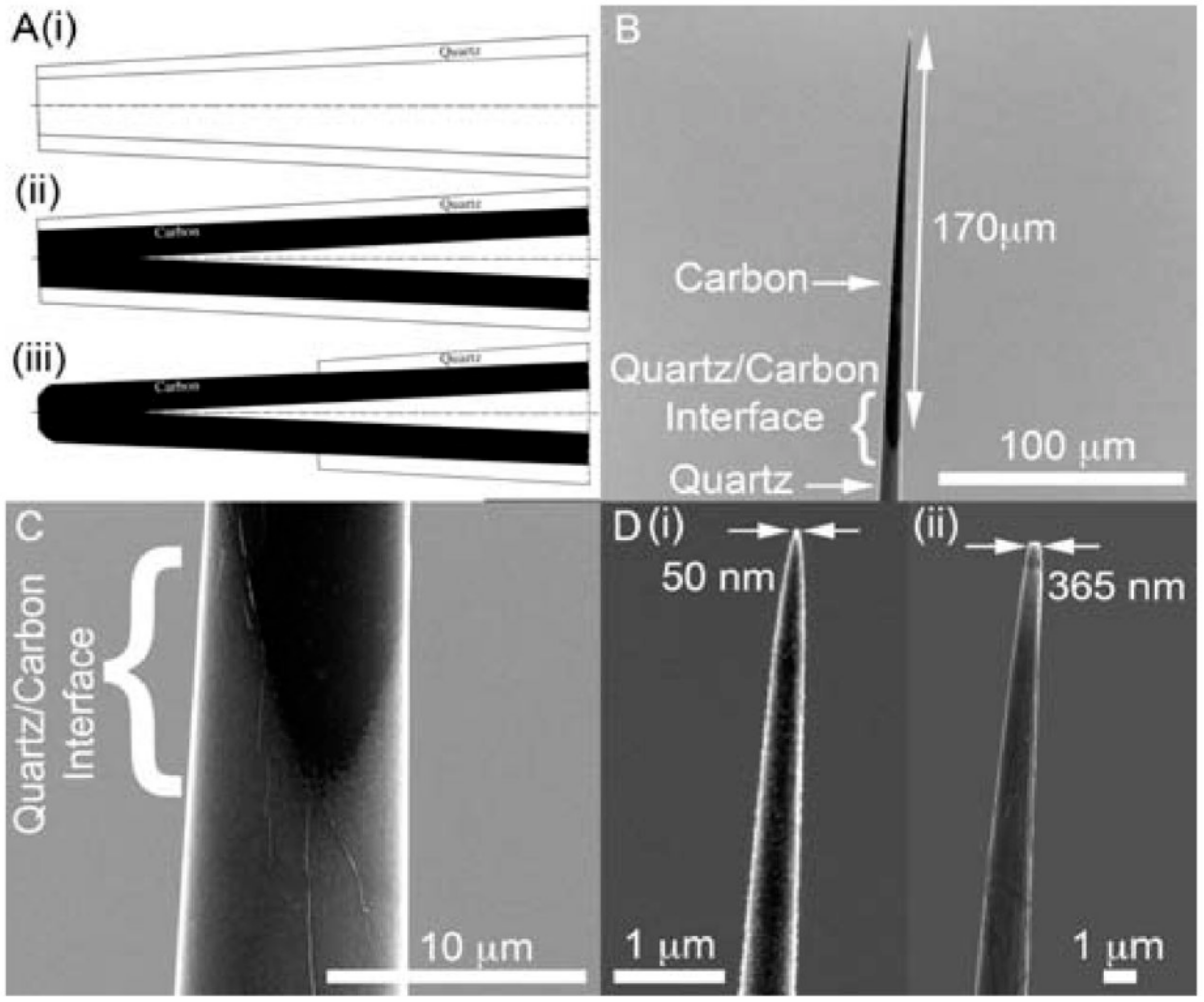Chemosensors 06 00001 g003