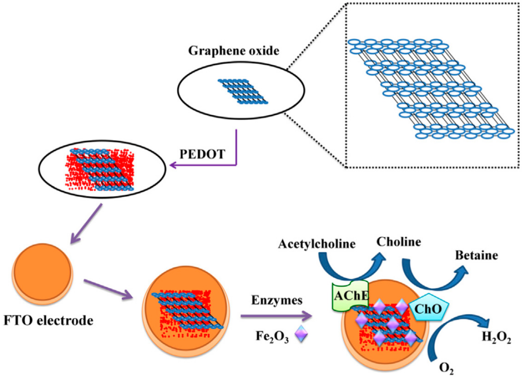 Chemosensors 06 00001 g006