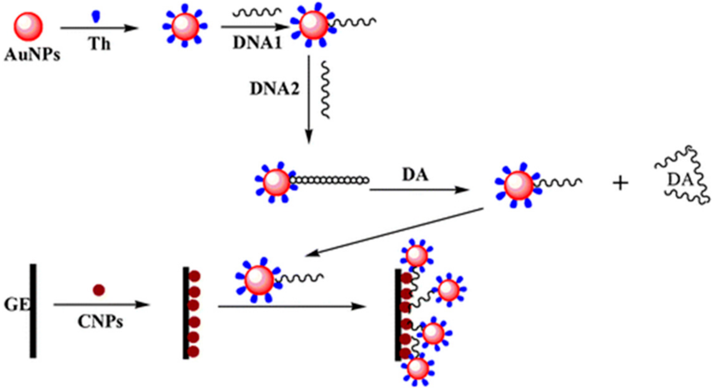 Chemosensors 06 00001 g007