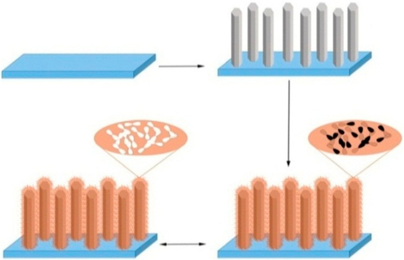 Chemosensors 06 00001 g008