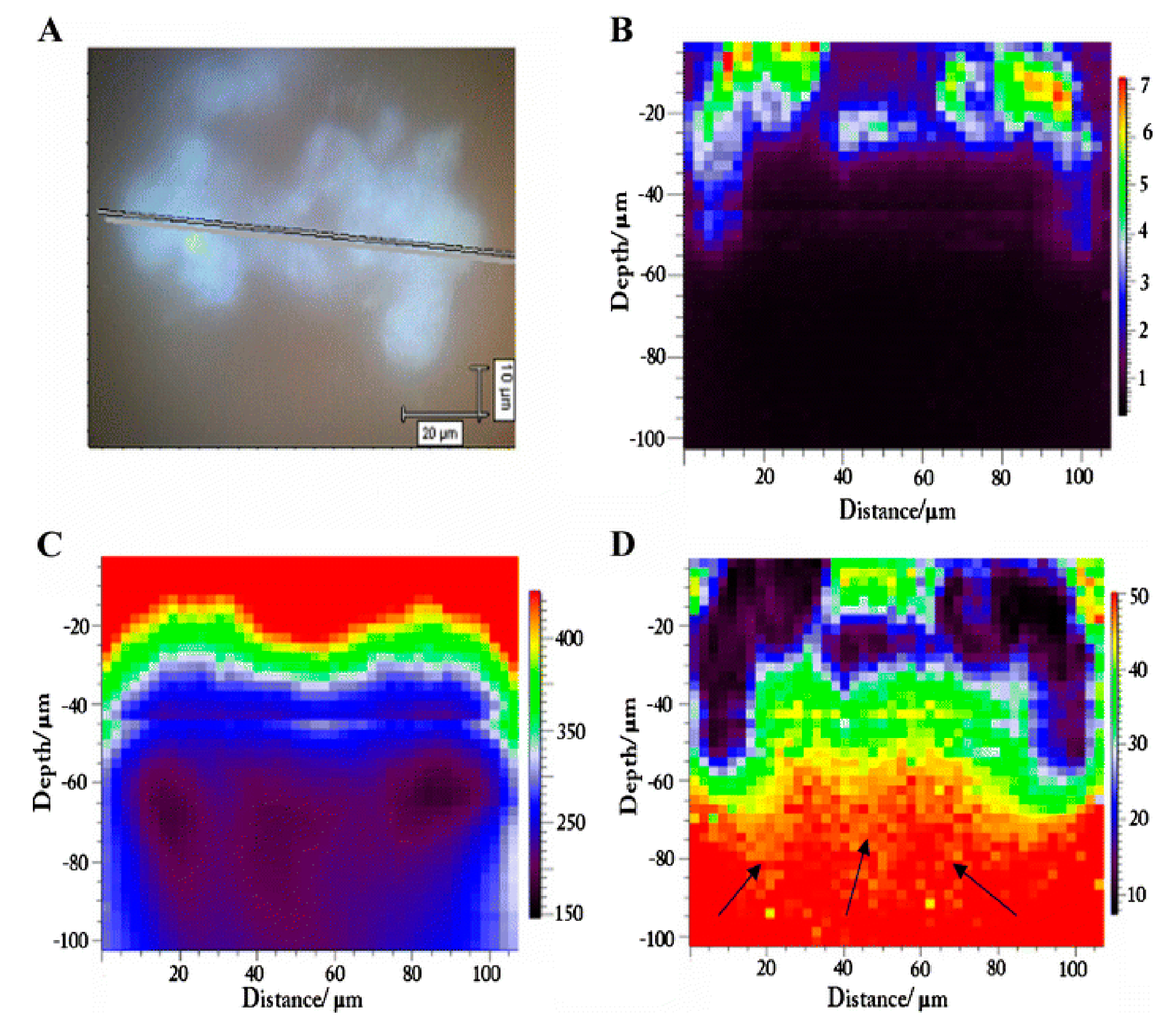 Chemosensors 06 00005 g001
