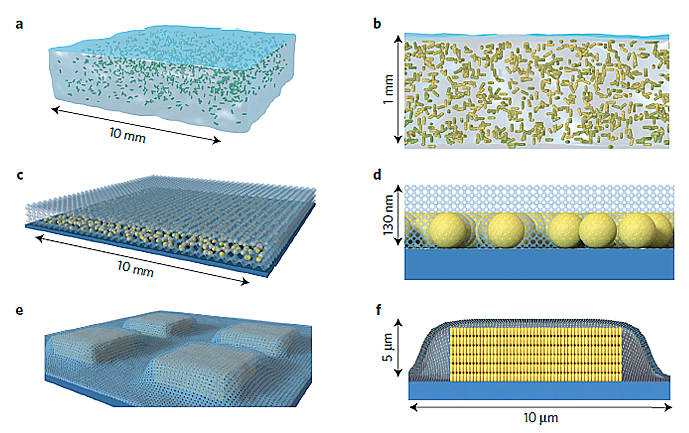 Chemosensors 06 00005 g003