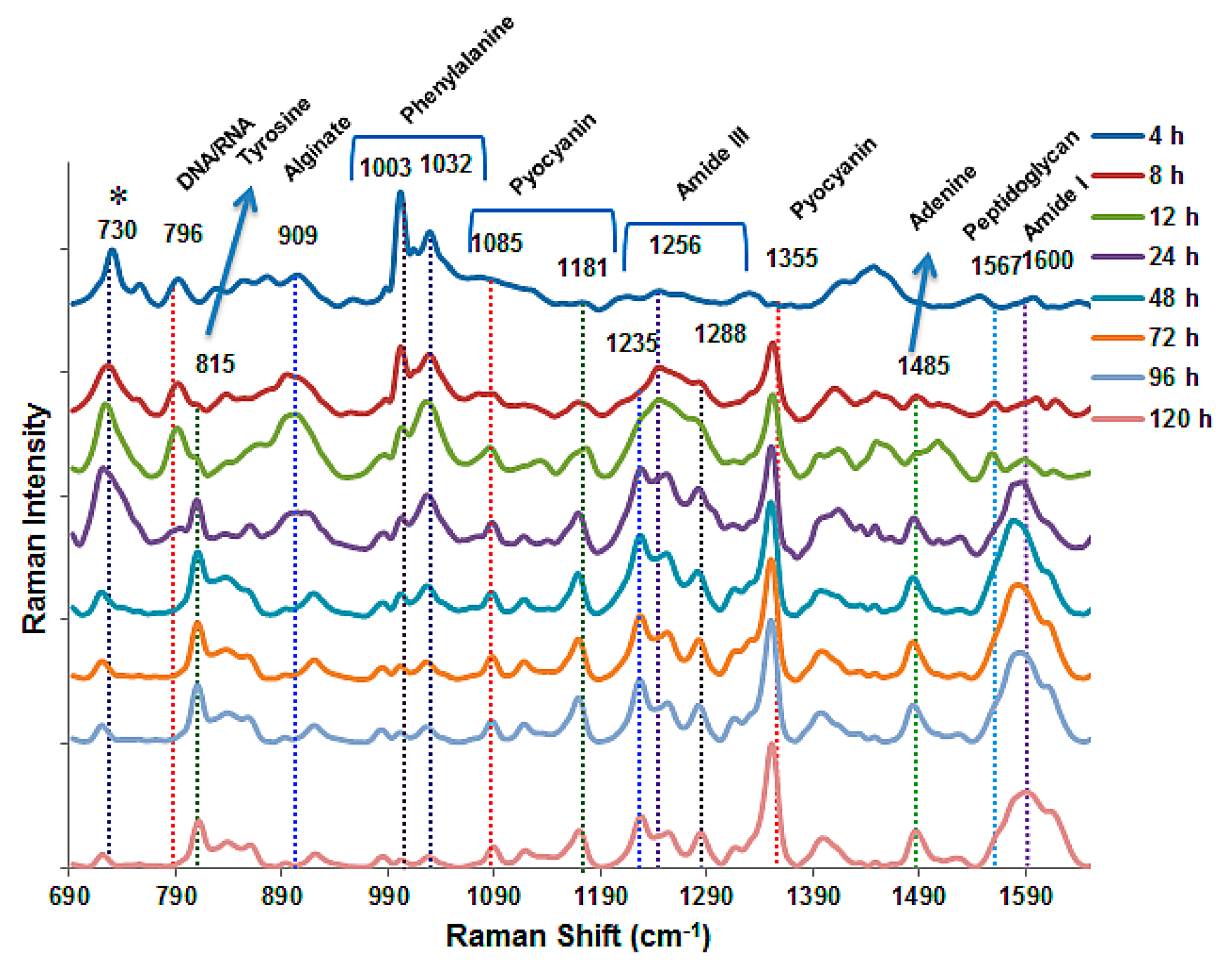 Chemosensors 06 00005 g004