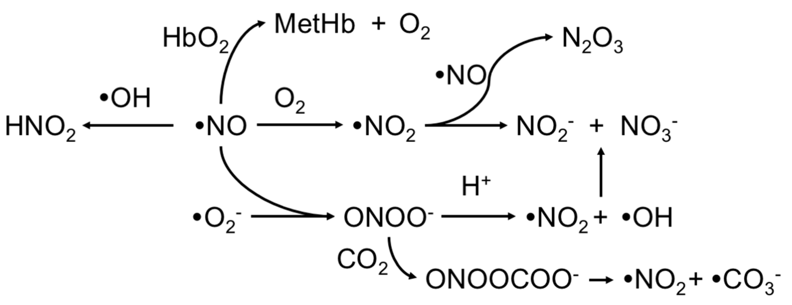 Chemosensors 06 00008 g001