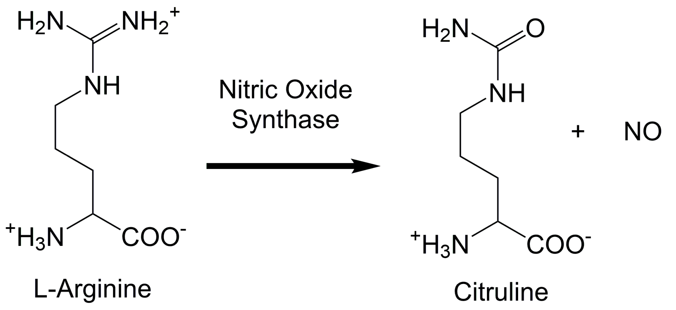 Chemosensors 06 00008 g003