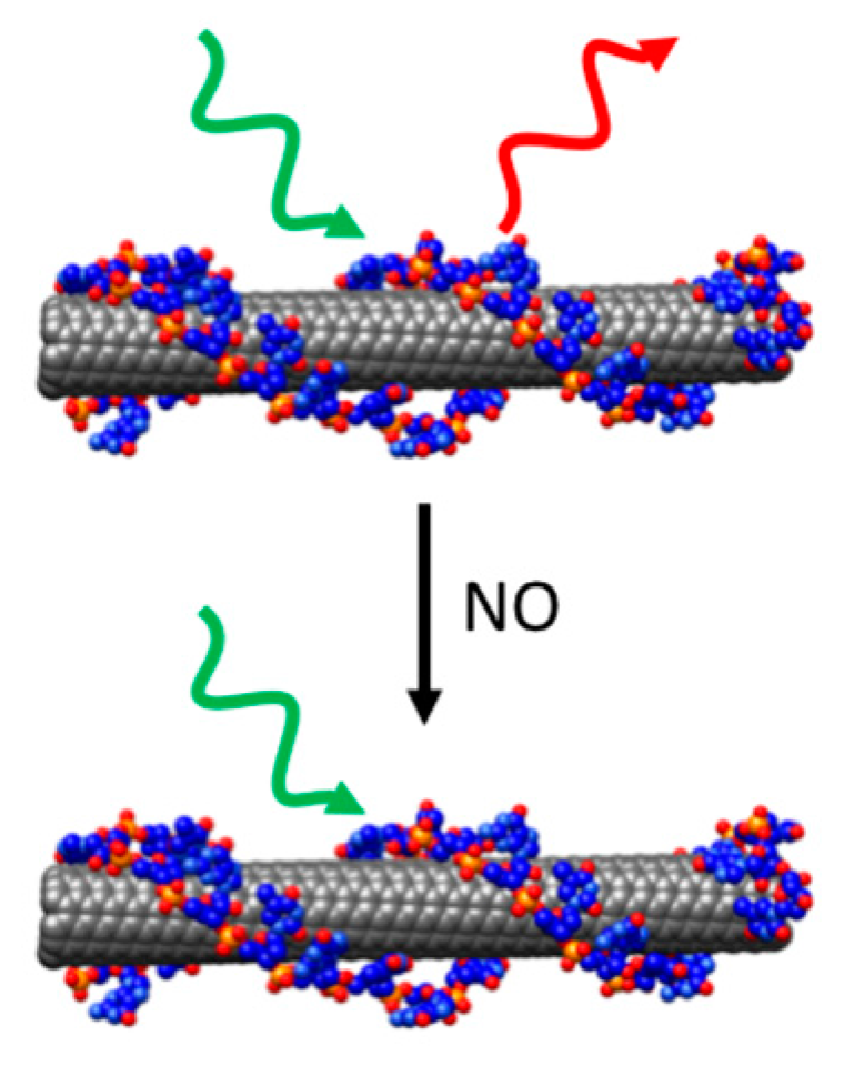 Chemosensors 06 00008 g005