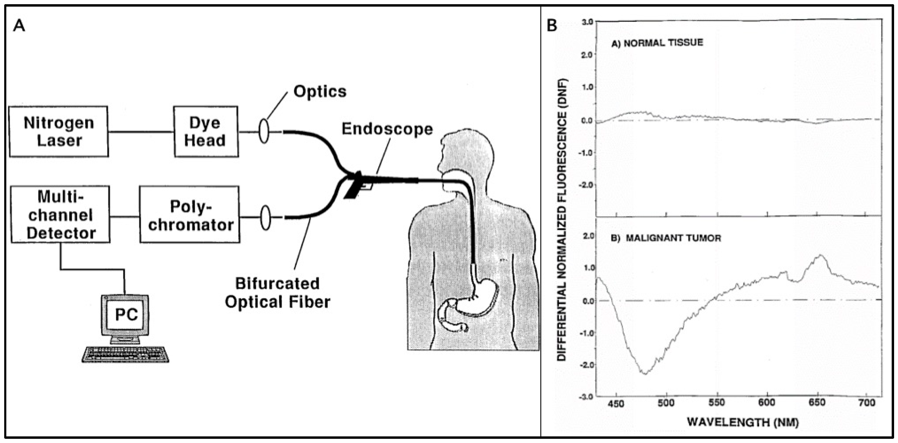Chemosensors 06 00011 g001