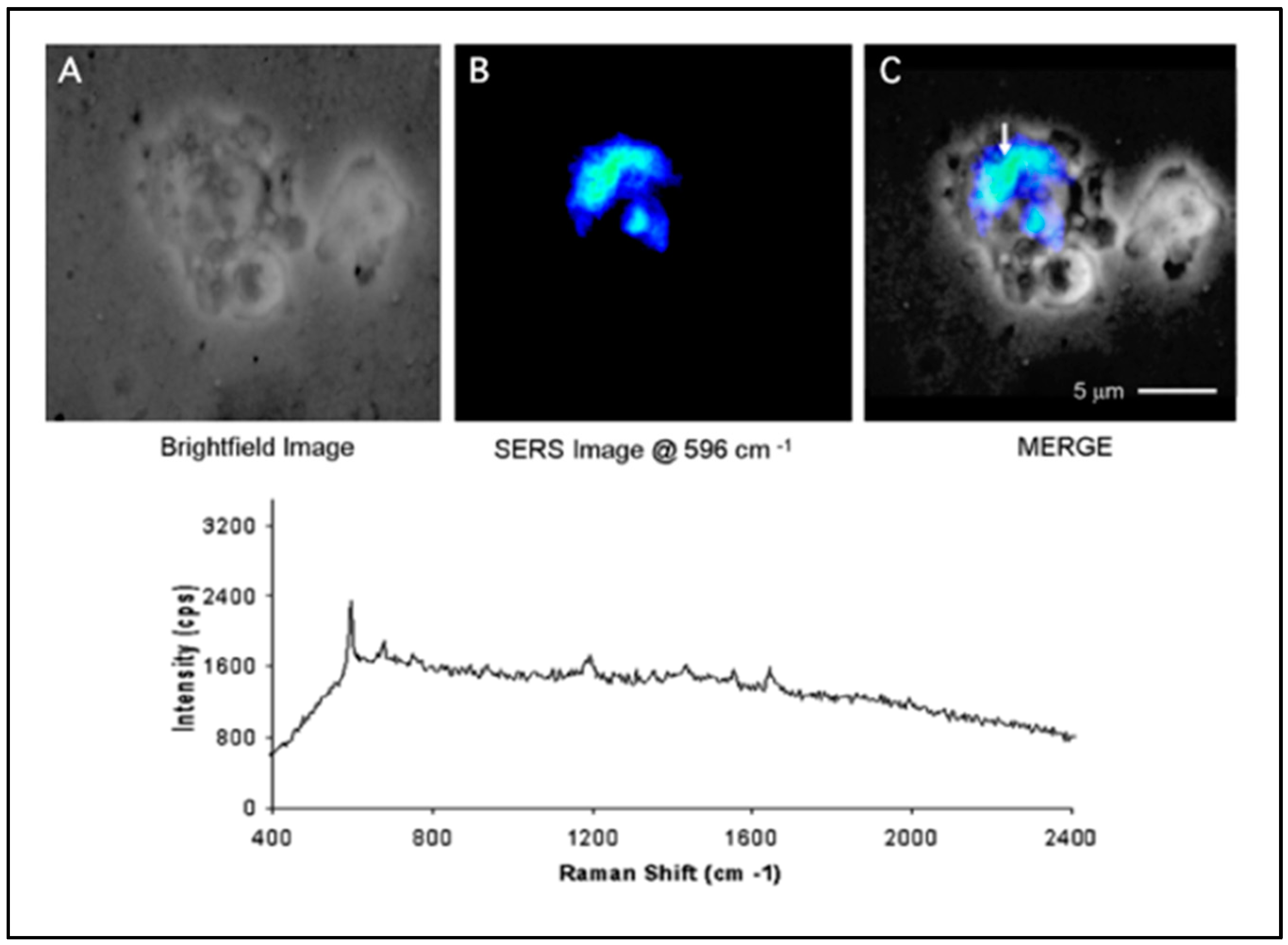 Chemosensors 06 00011 g003