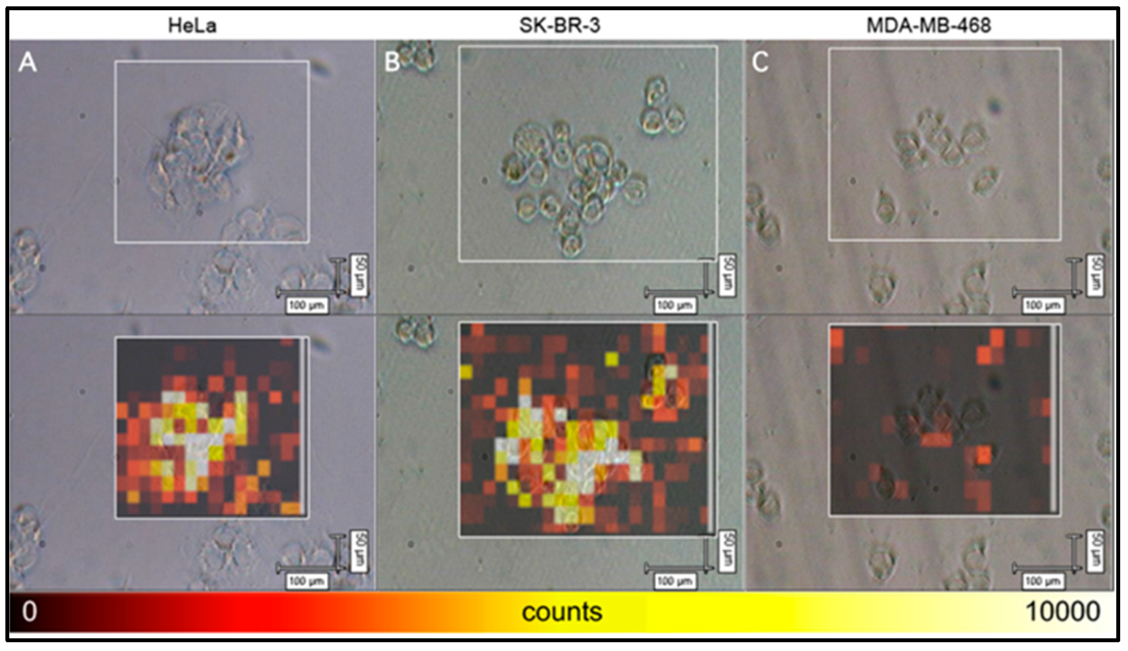 Chemosensors 06 00011 g004