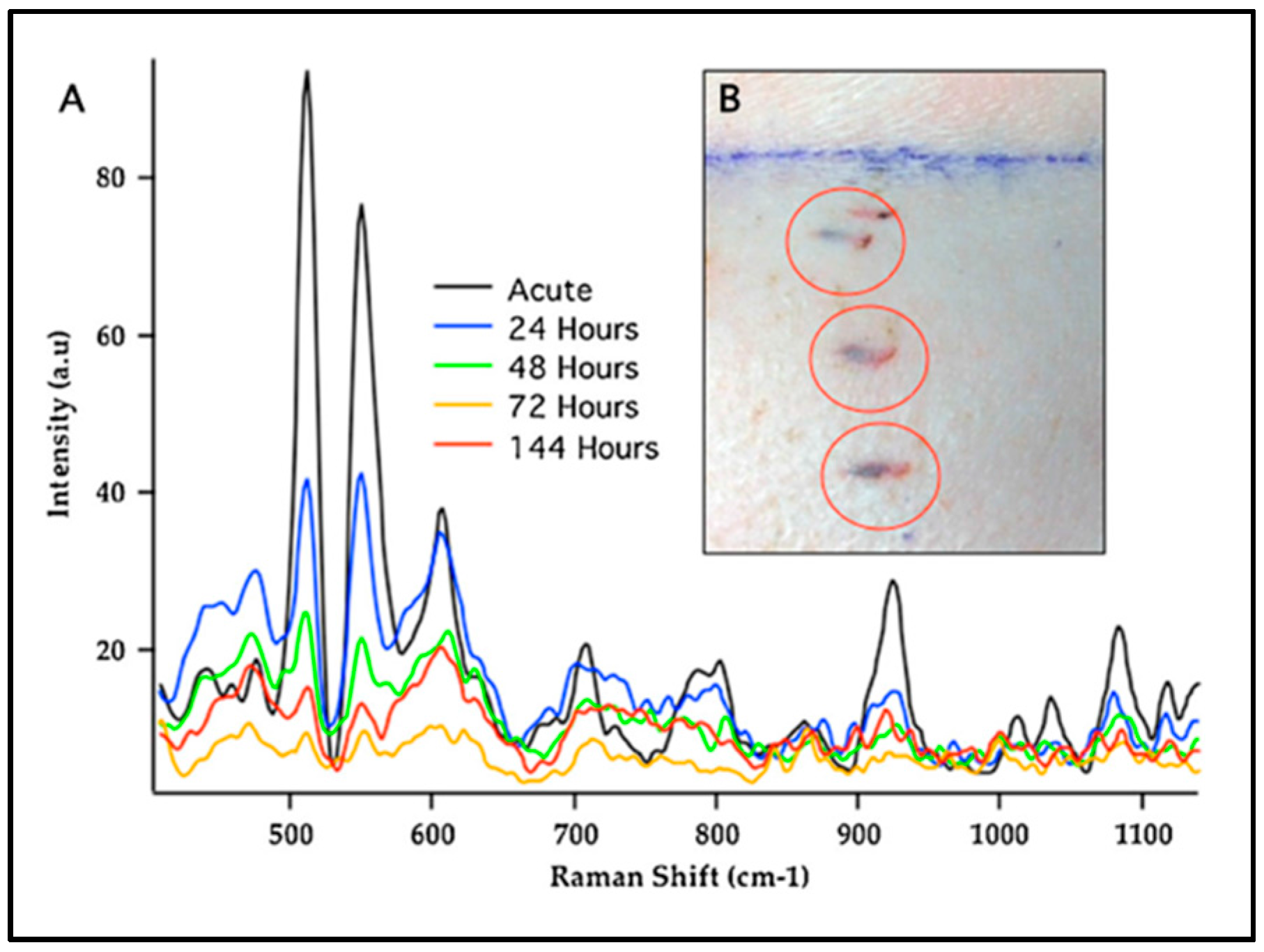 Chemosensors 06 00011 g005