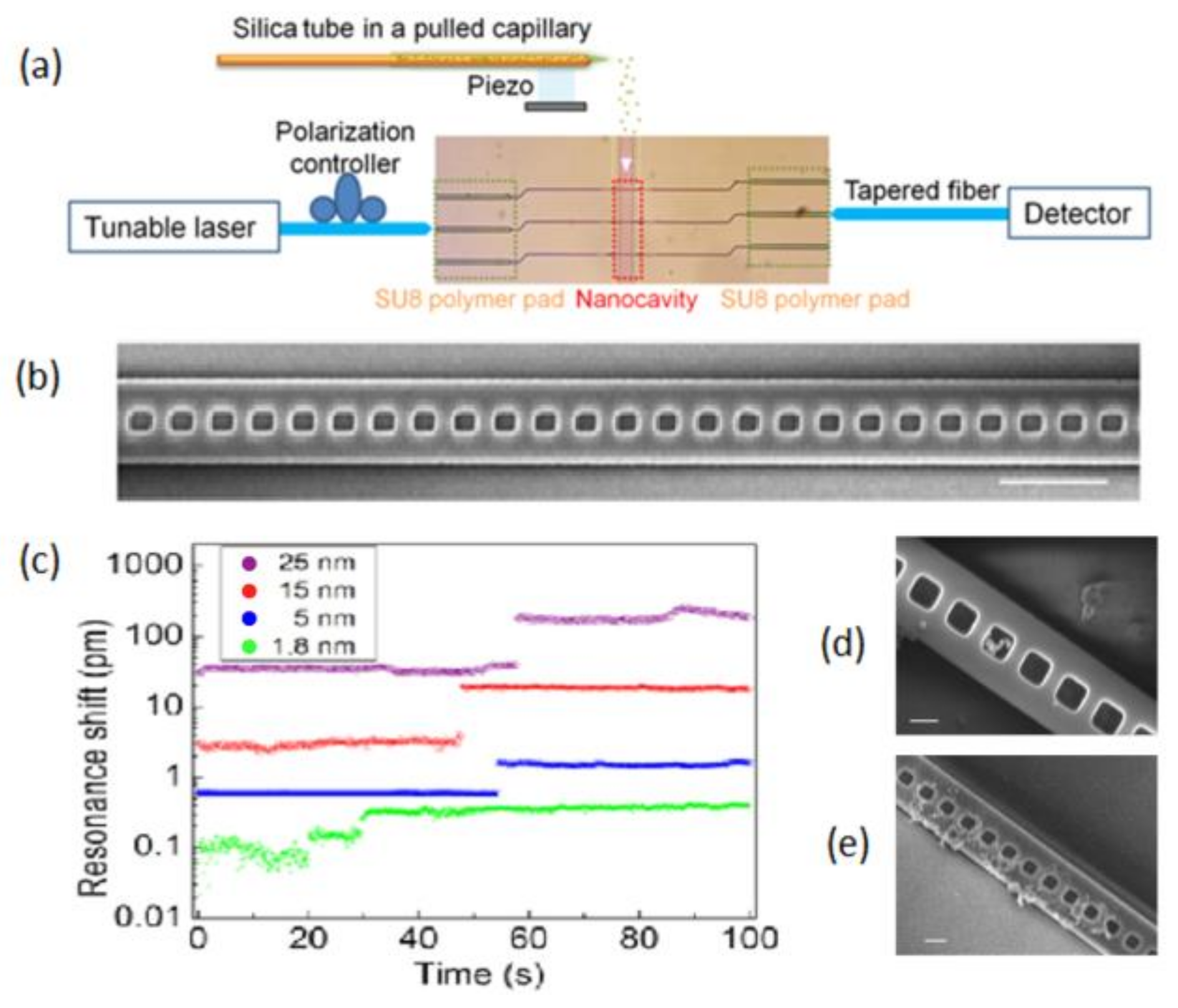 Chemosensors 06 00013 g001