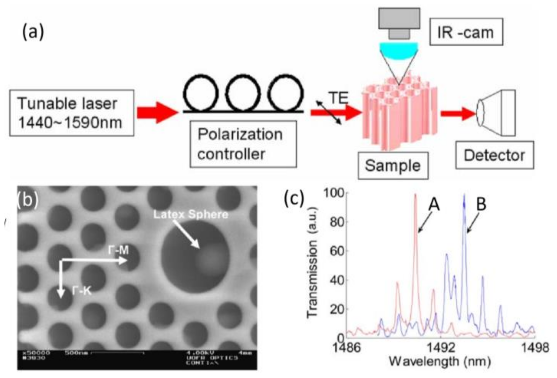 Chemosensors 06 00013 g002