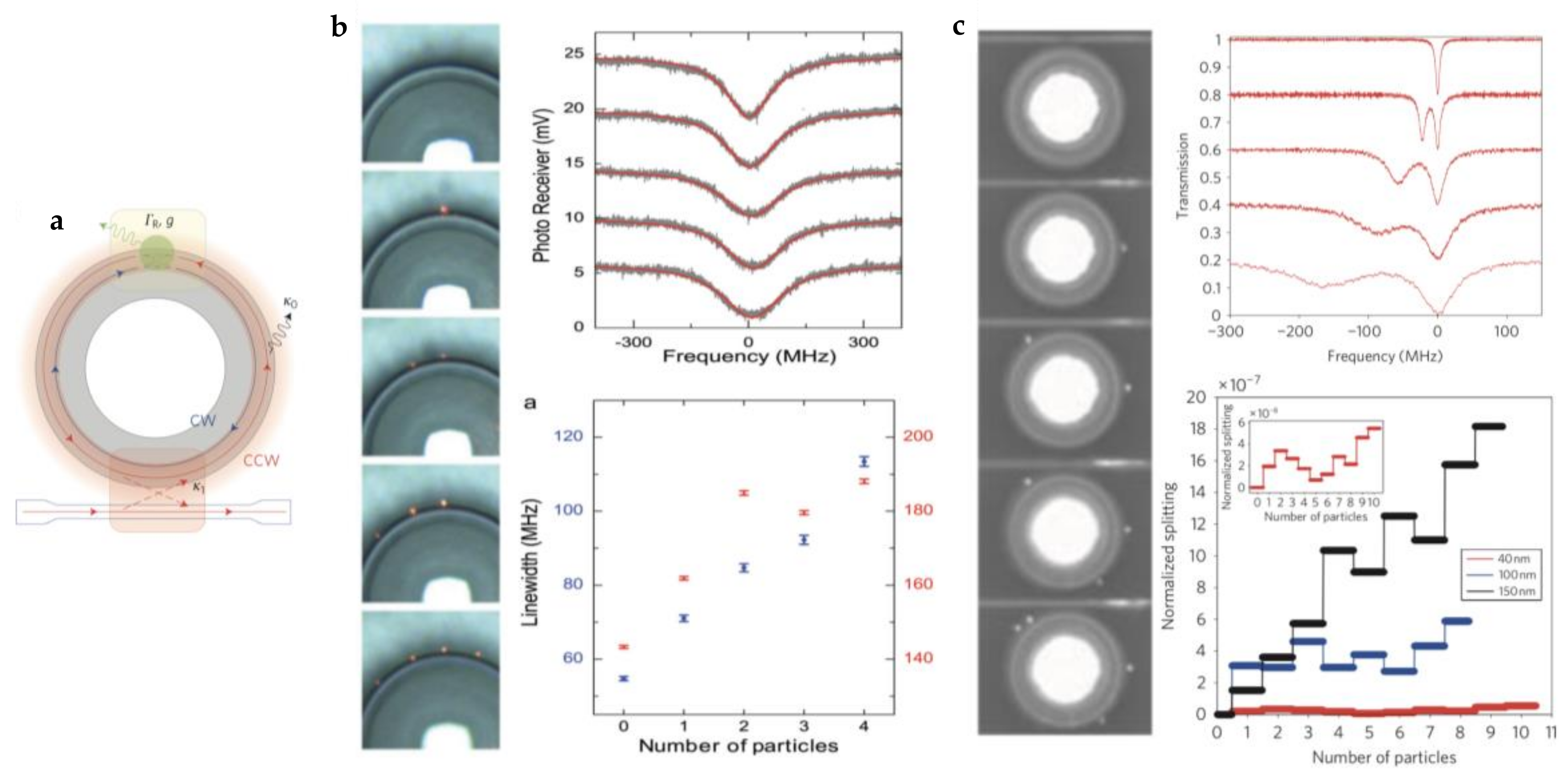 Chemosensors 06 00013 g004