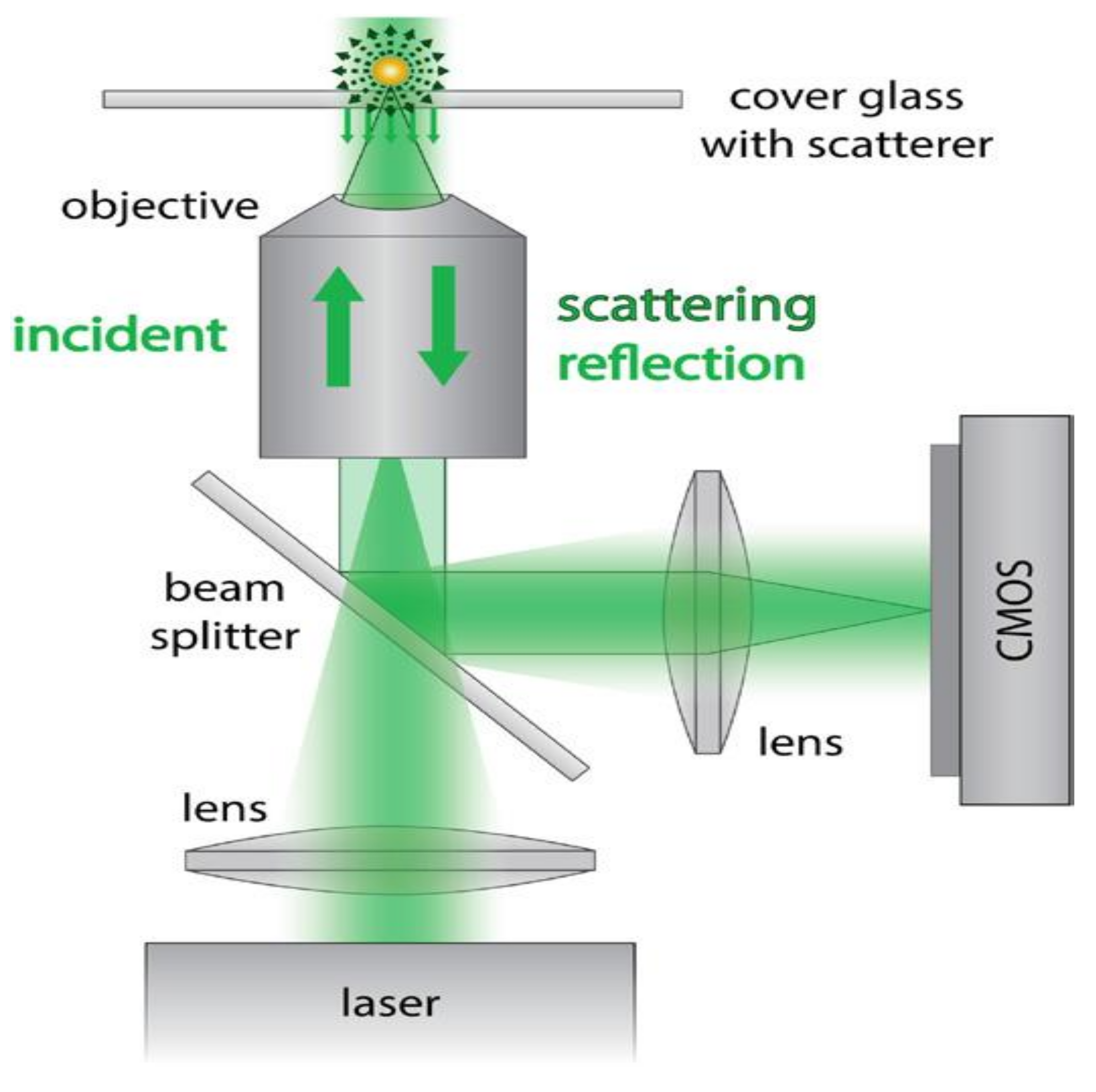 Chemosensors 06 00013 g006