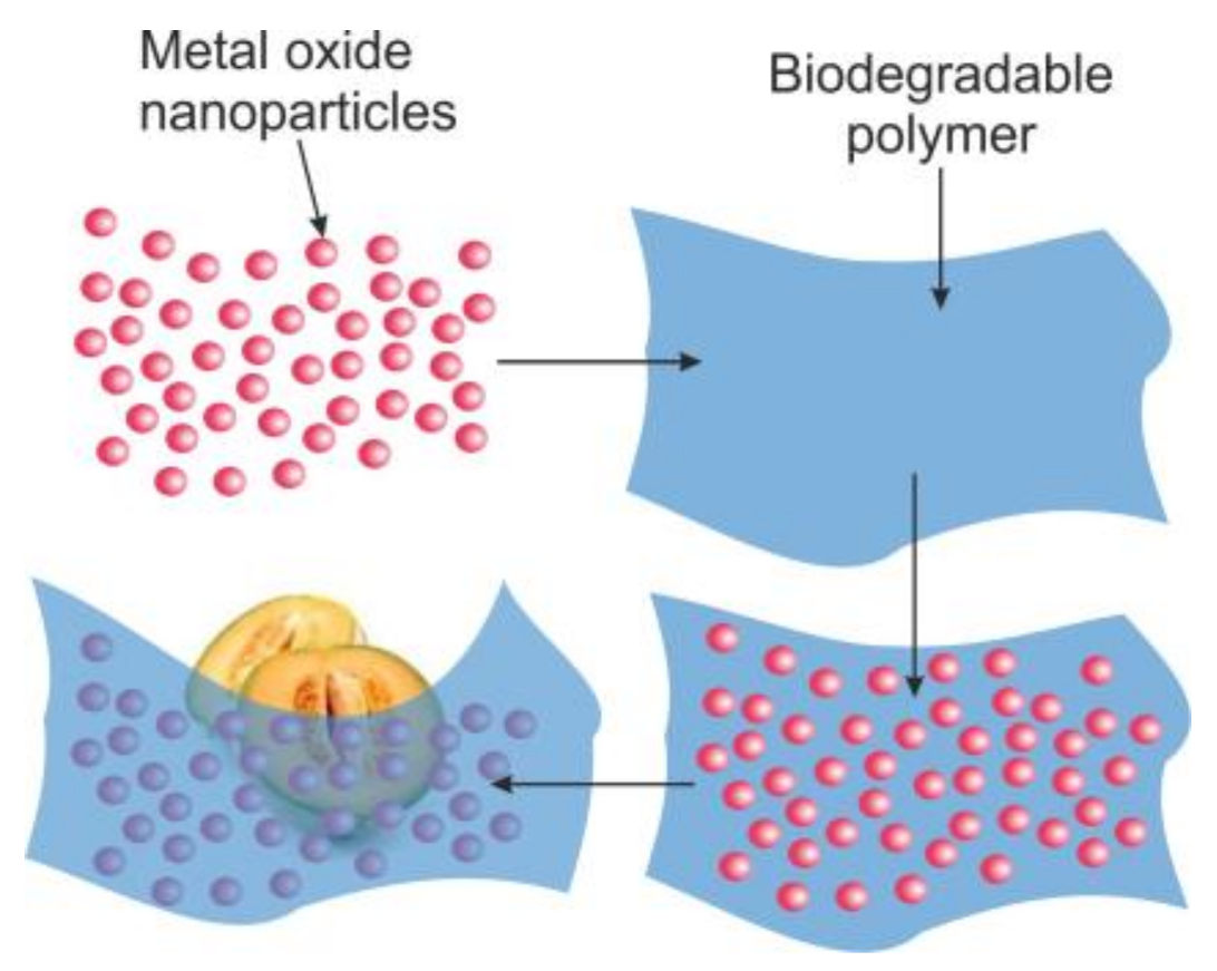 Chemosensors 06 00016 g005