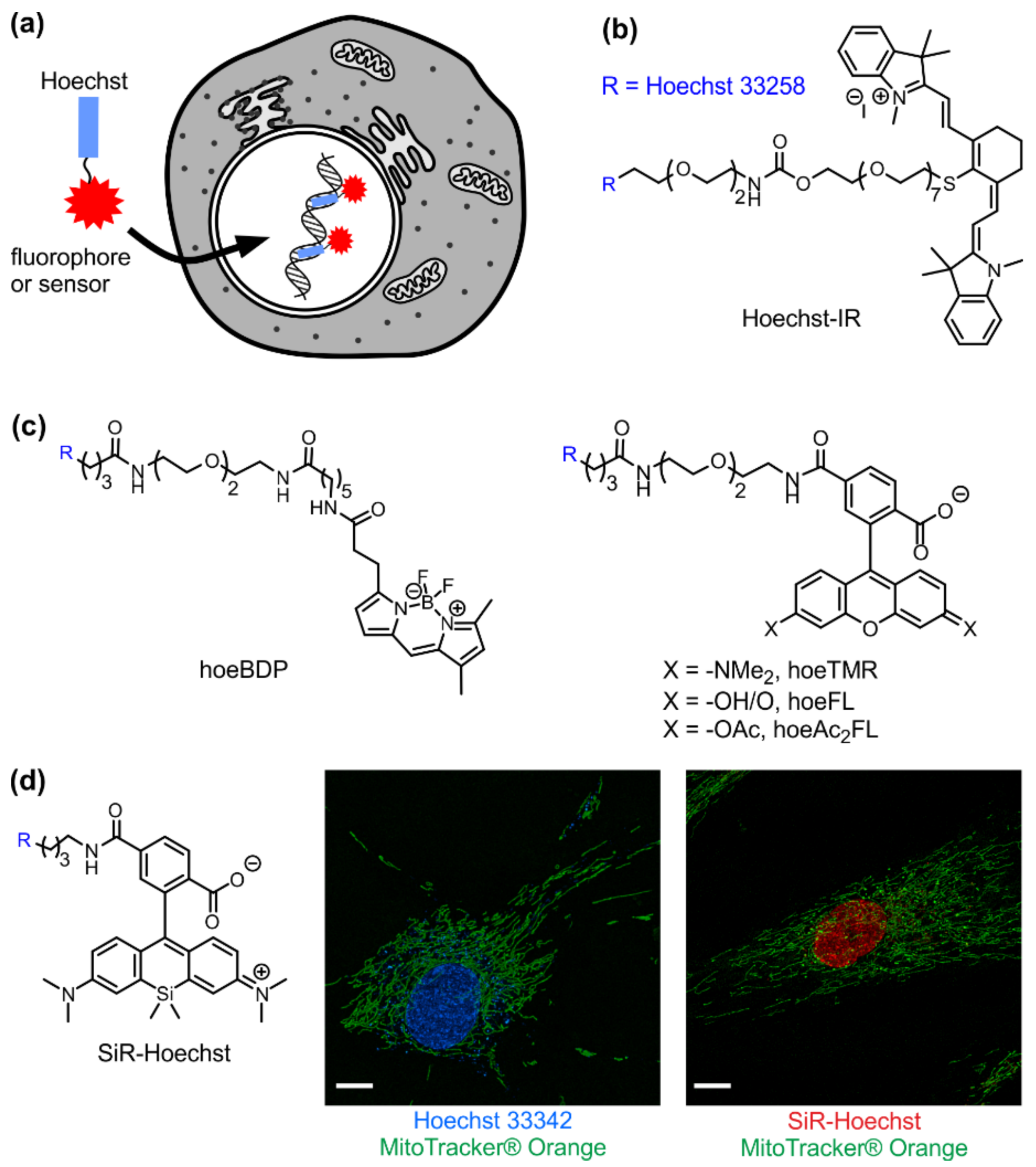 Chemosensors 06 00018 g002
