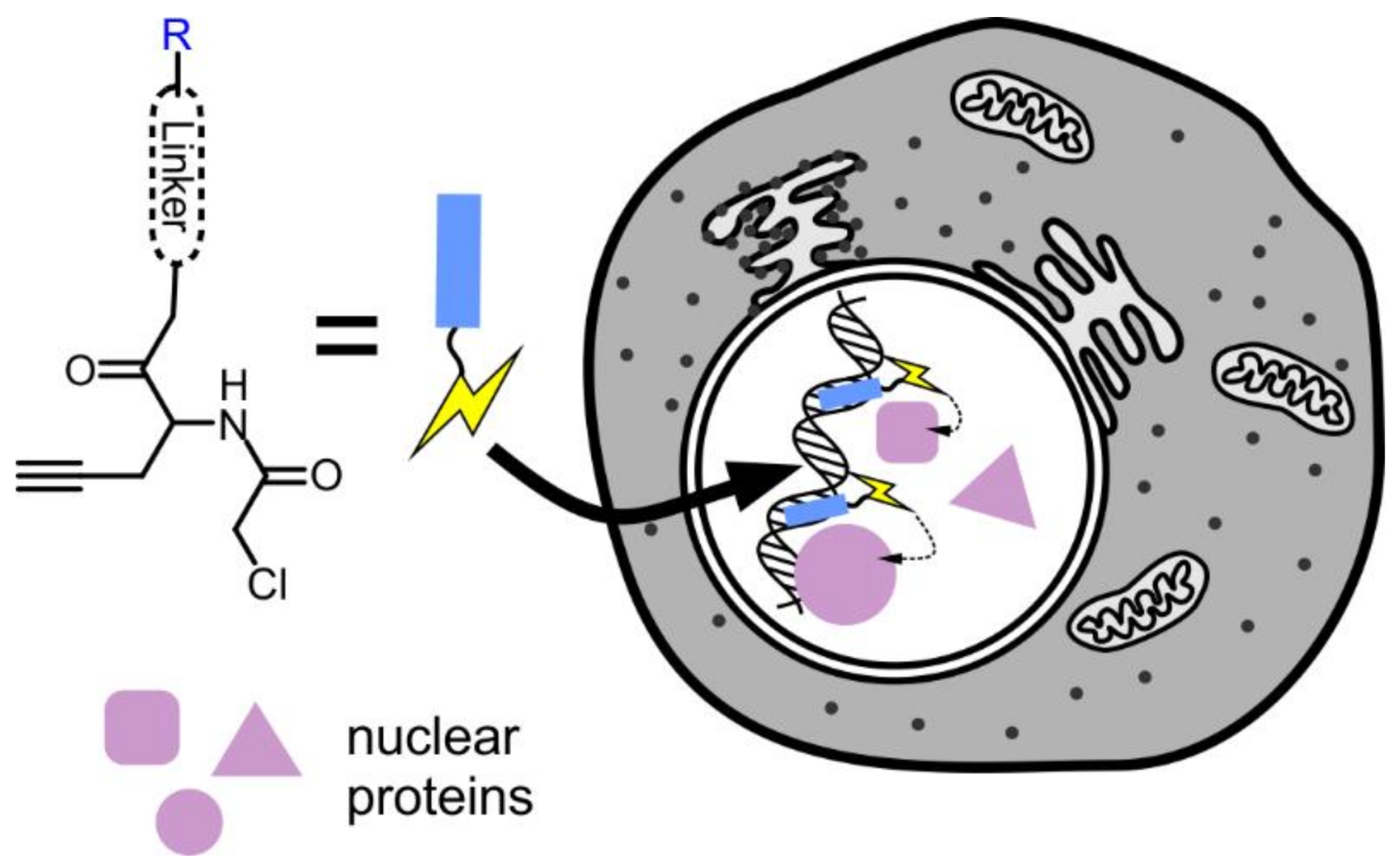Chemosensors 06 00018 g004