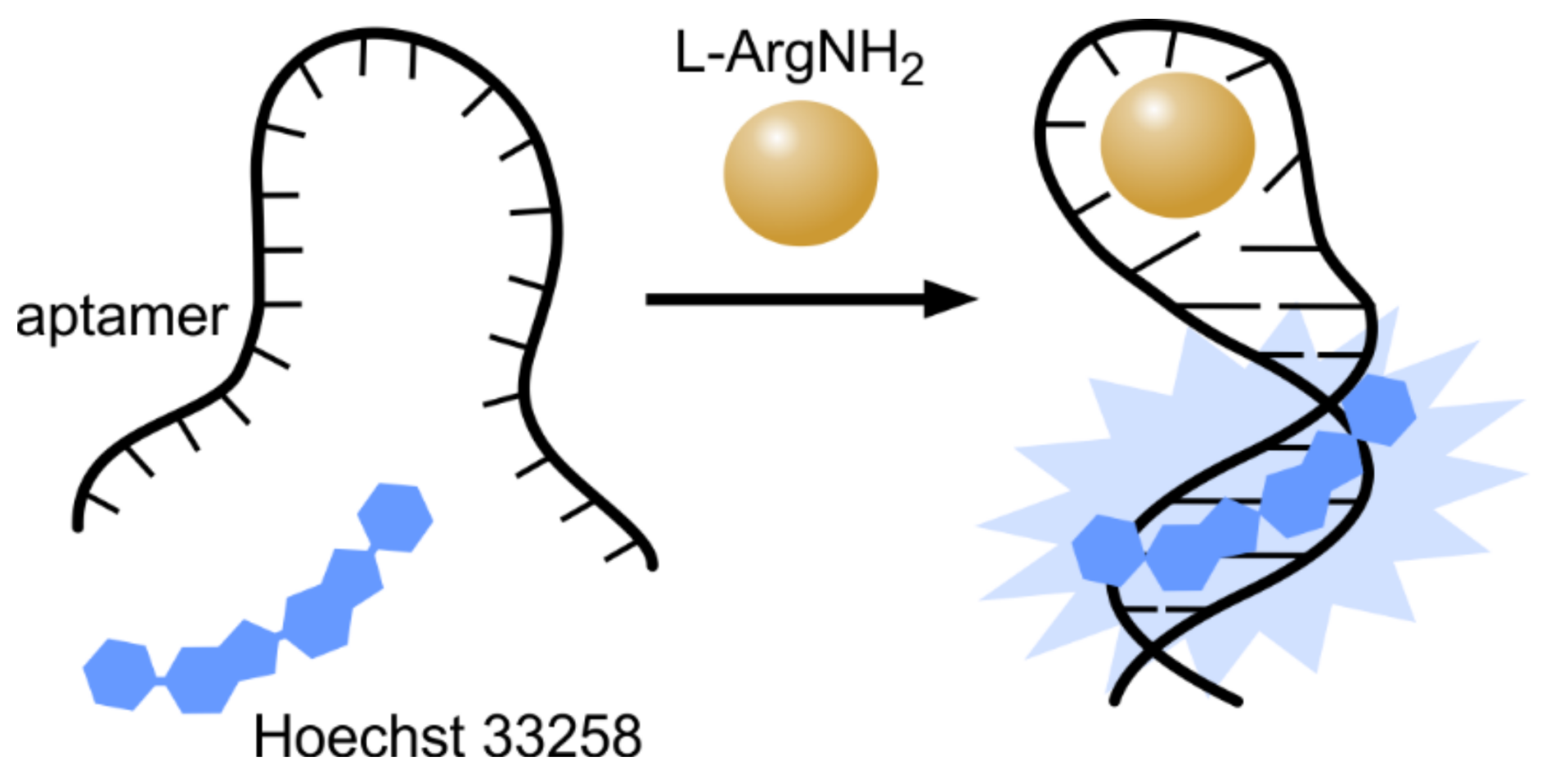 Chemosensors 06 00018 g005