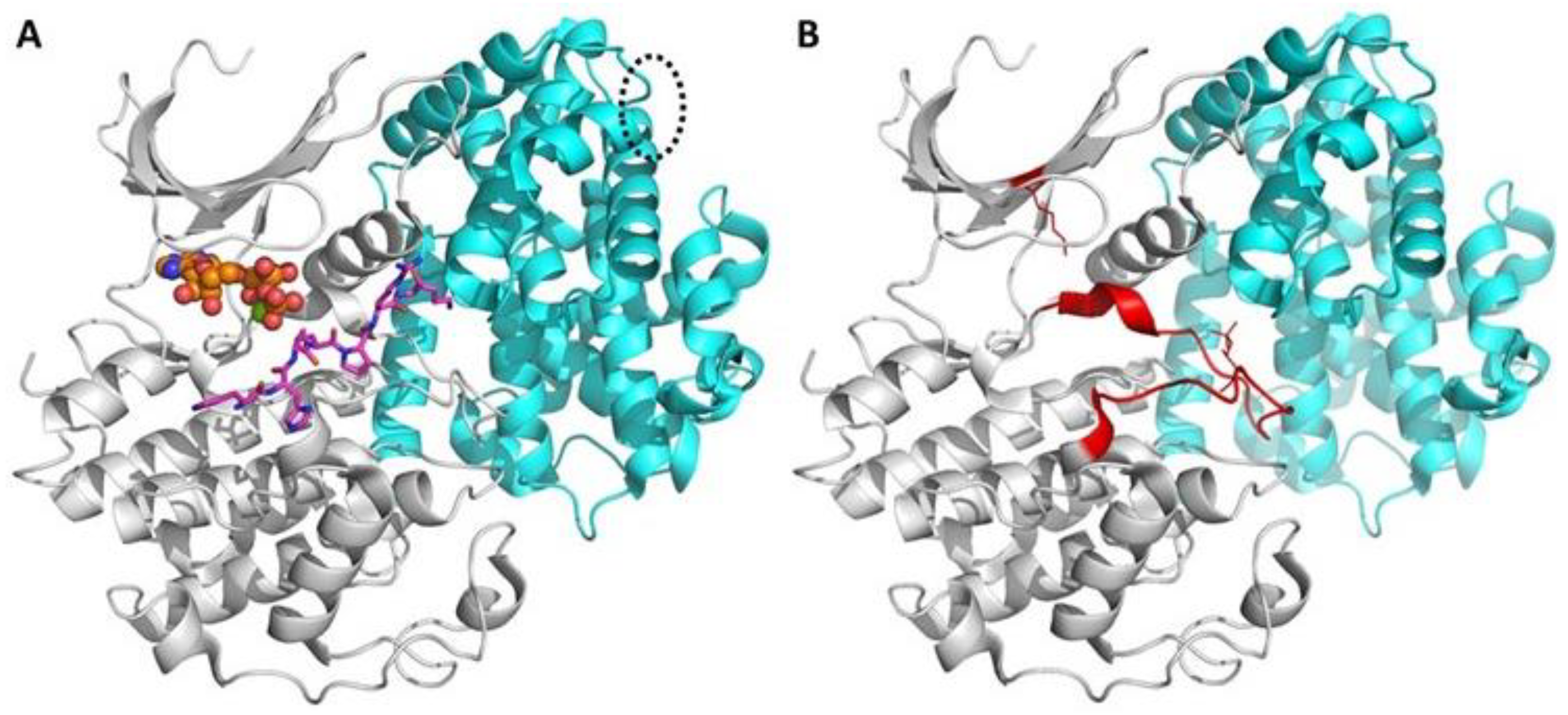 Chemosensors 06 00019 g001