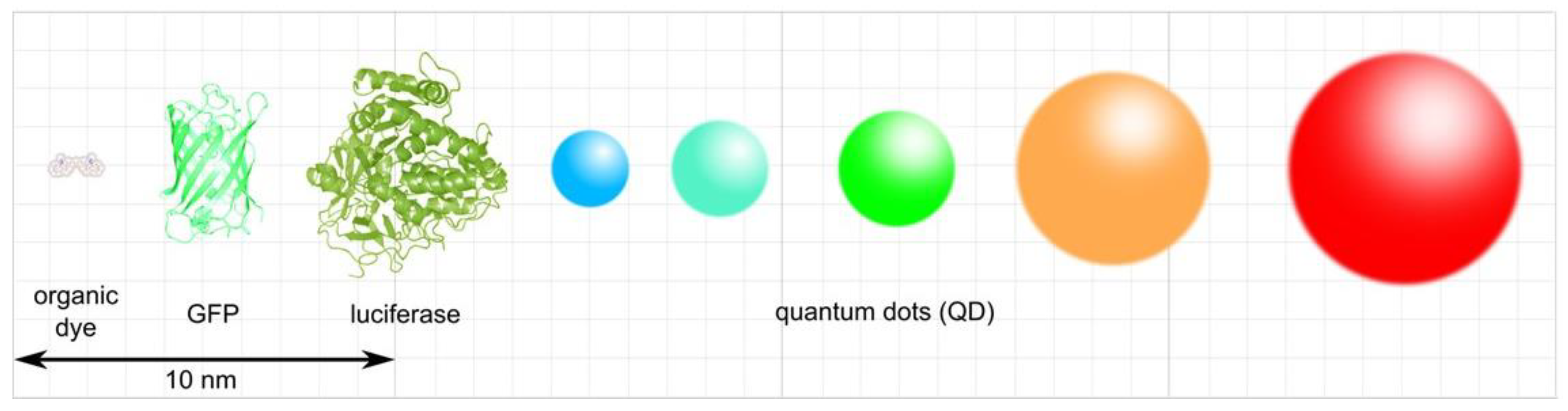 Chemosensors 06 00019 g002