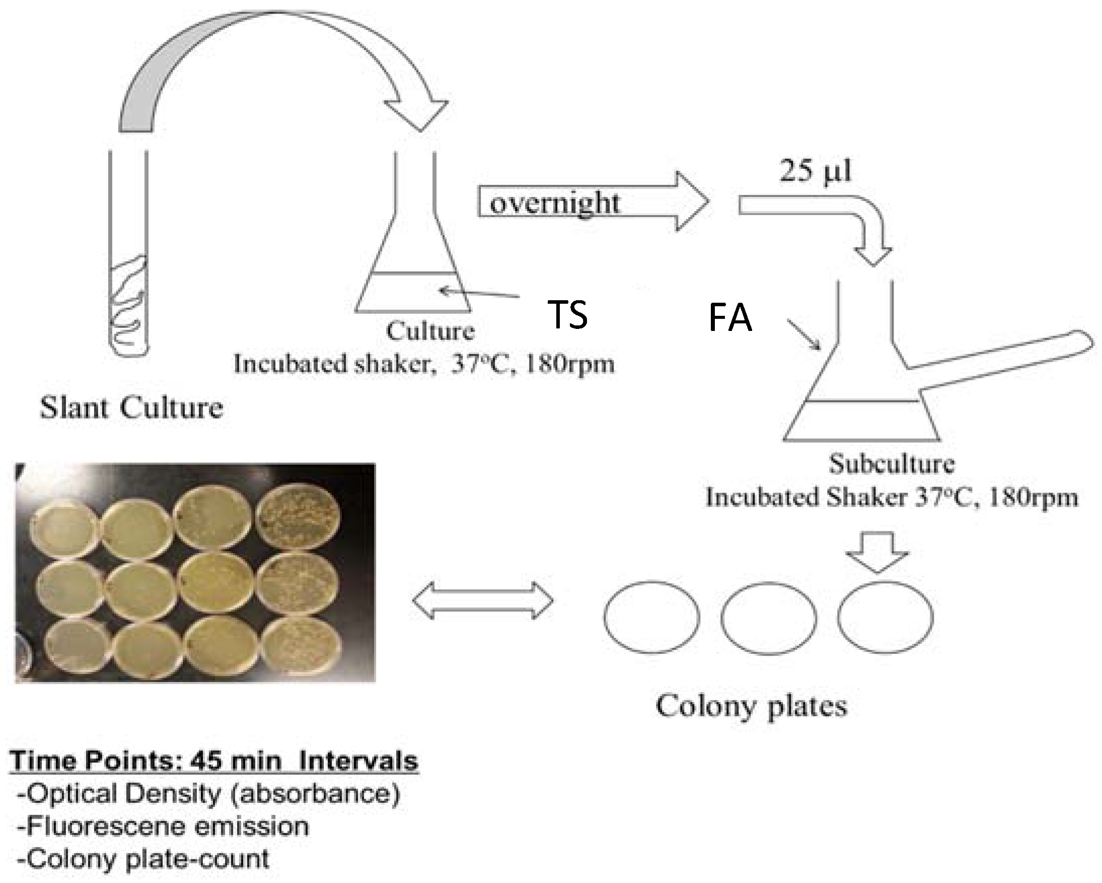 Chemosensors 06 00021 g001