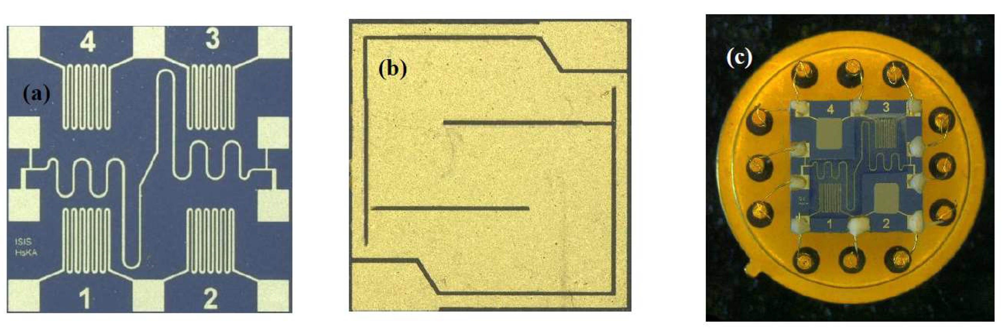 Chemosensors 06 00022 g002