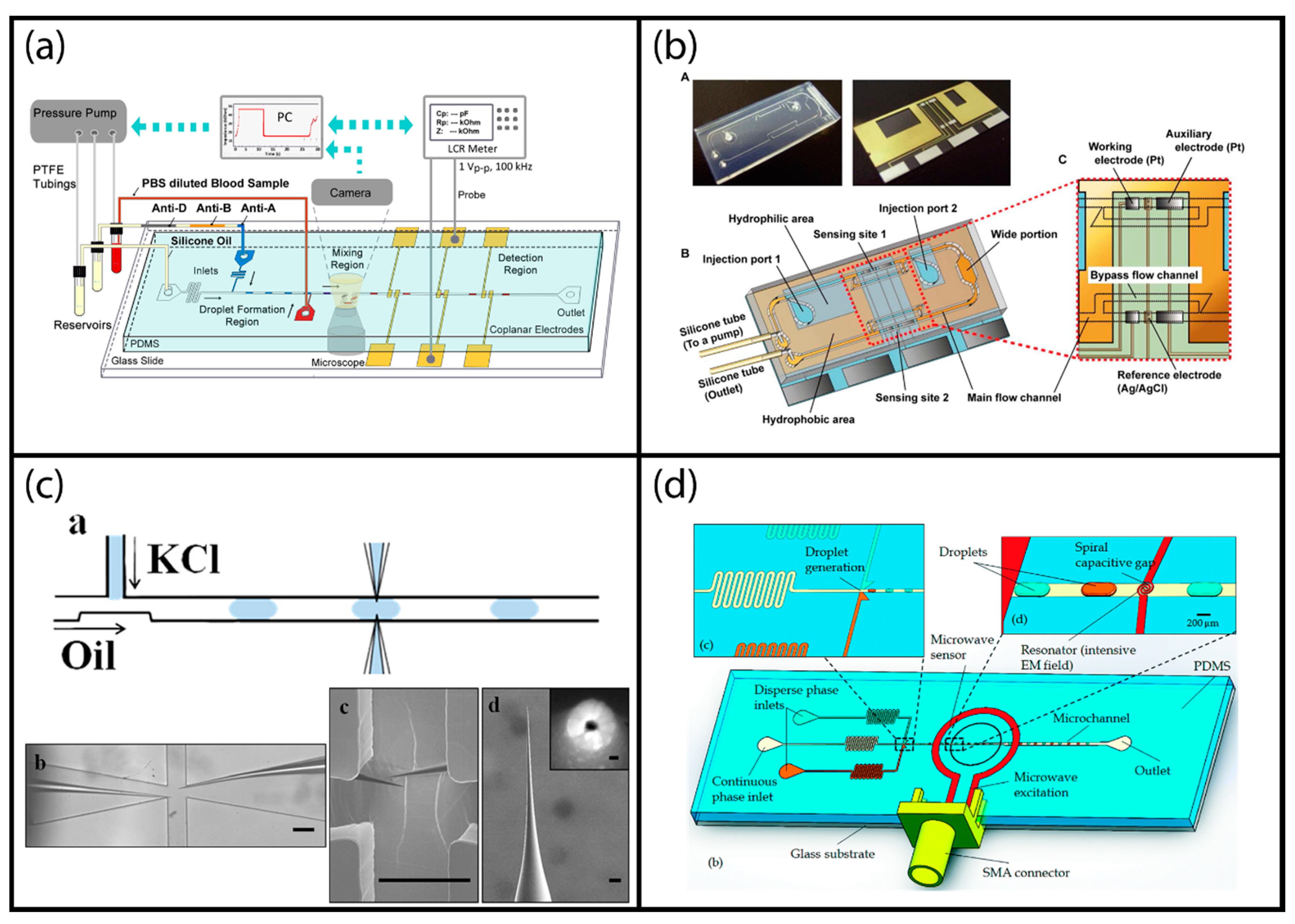 Chemosensors 06 00023 g006