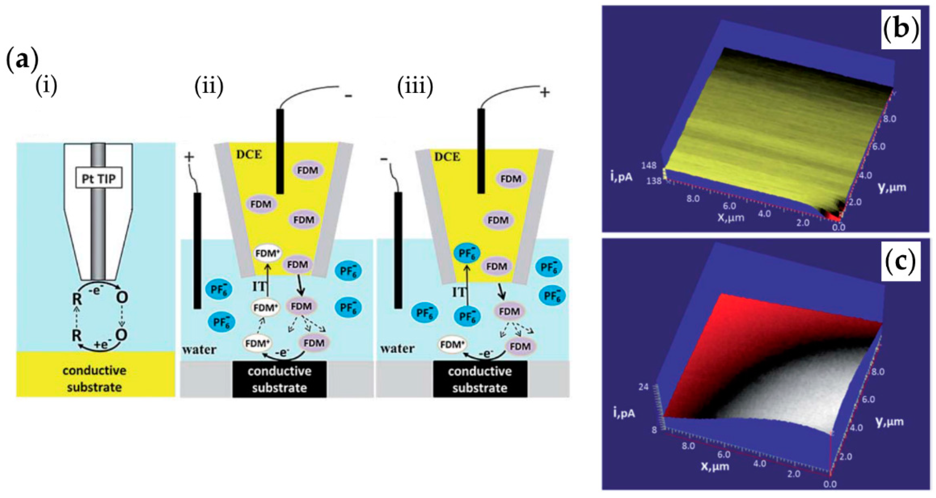 Chemosensors 06 00024 g003