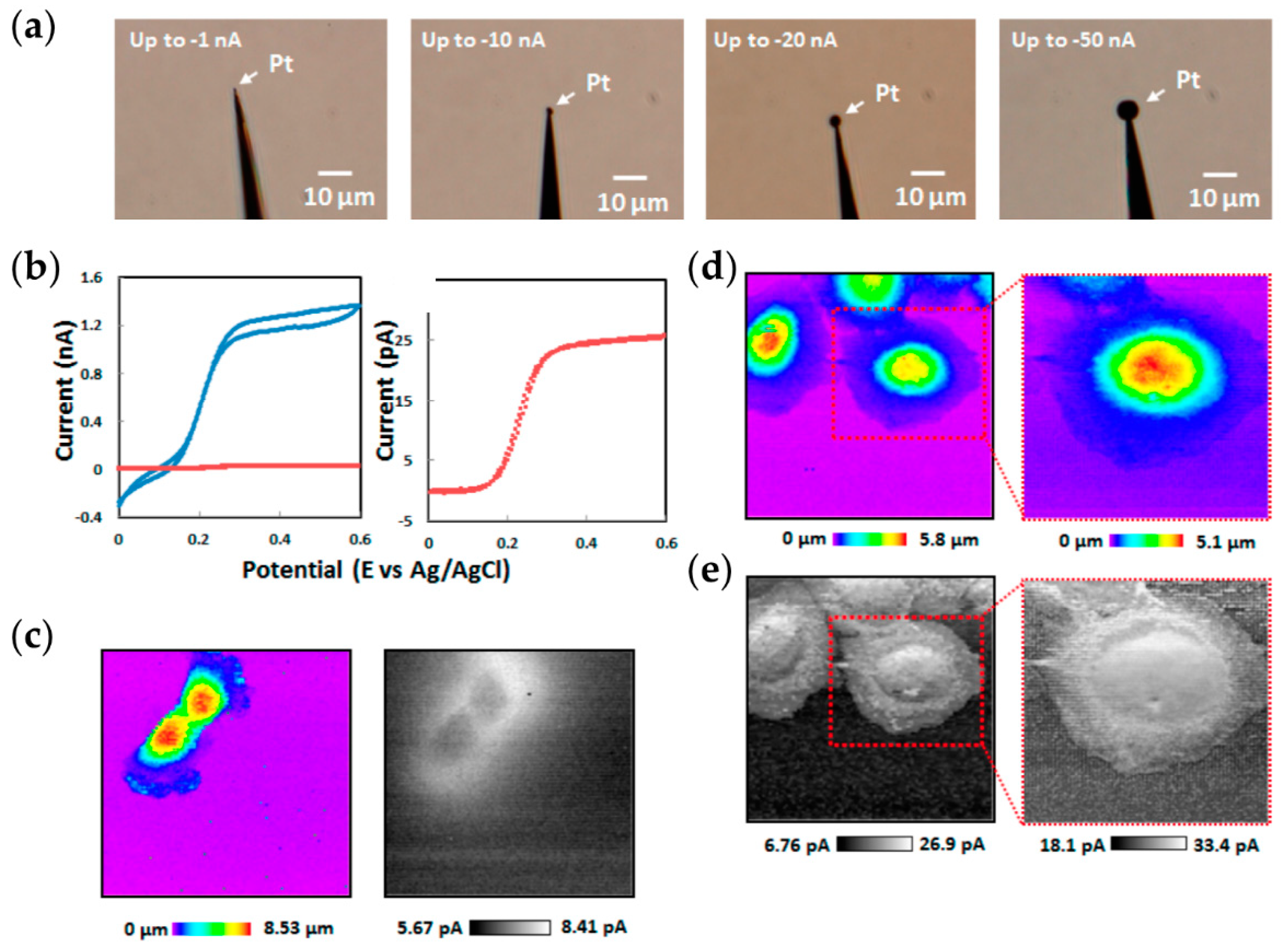 Chemosensors 06 00024 g005
