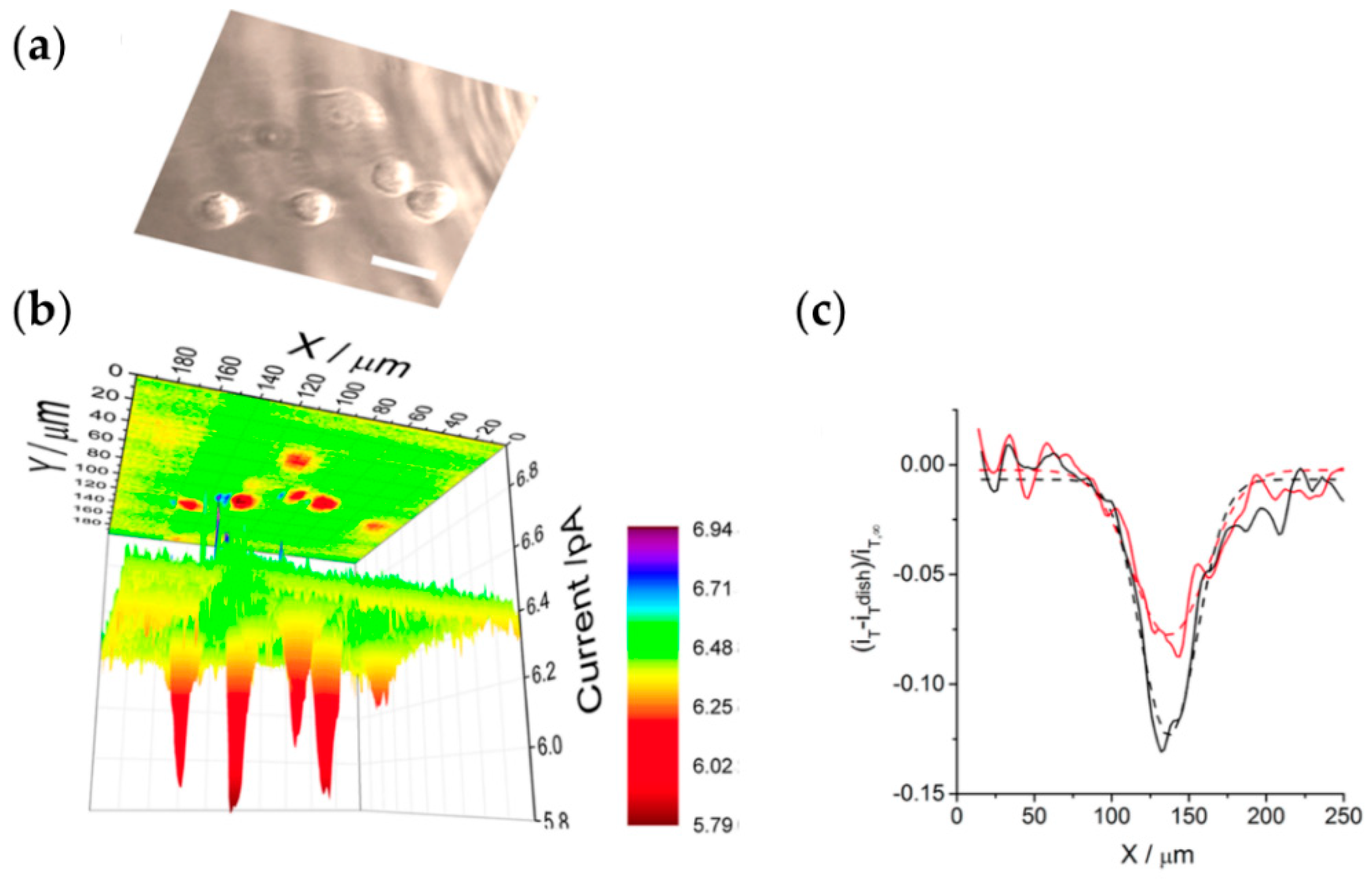 Chemosensors 06 00024 g006