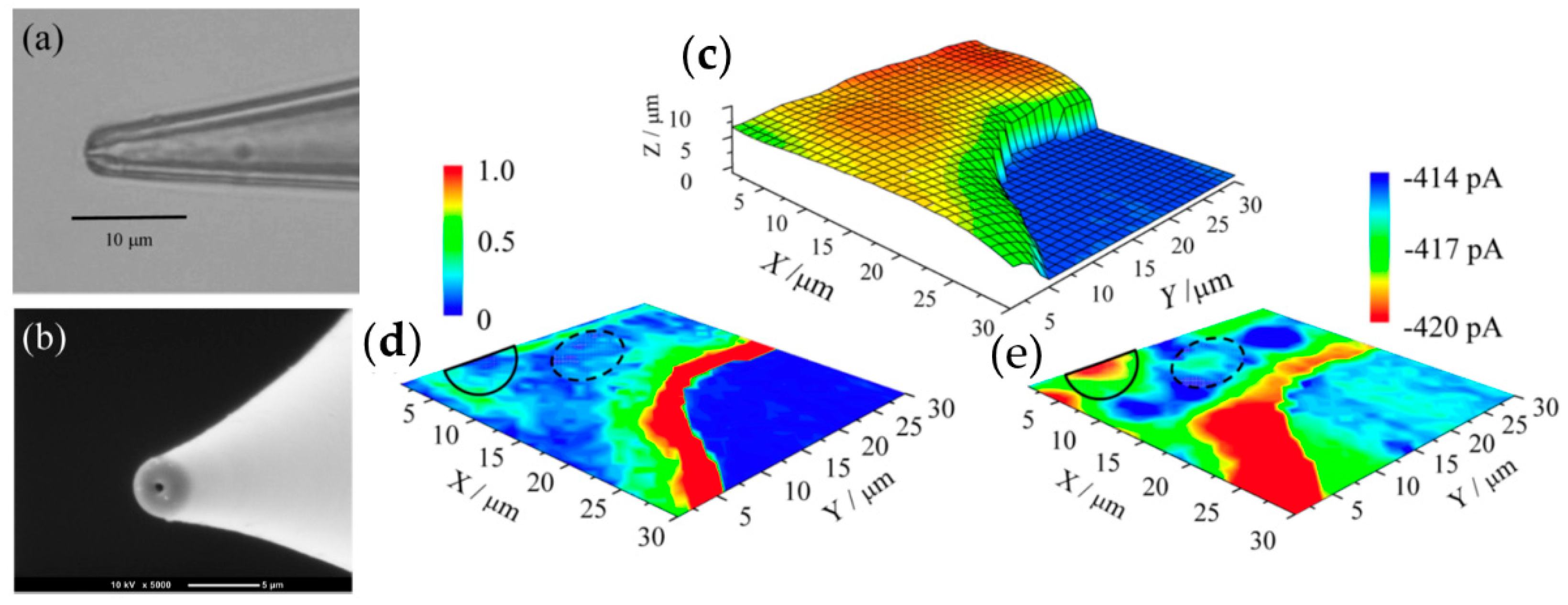 Chemosensors 06 00024 g007