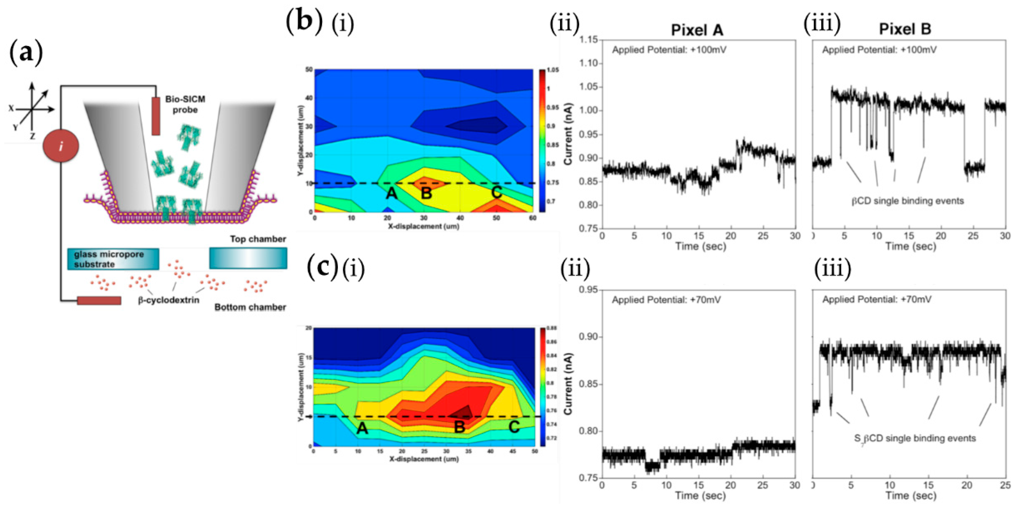 Chemosensors 06 00024 g008