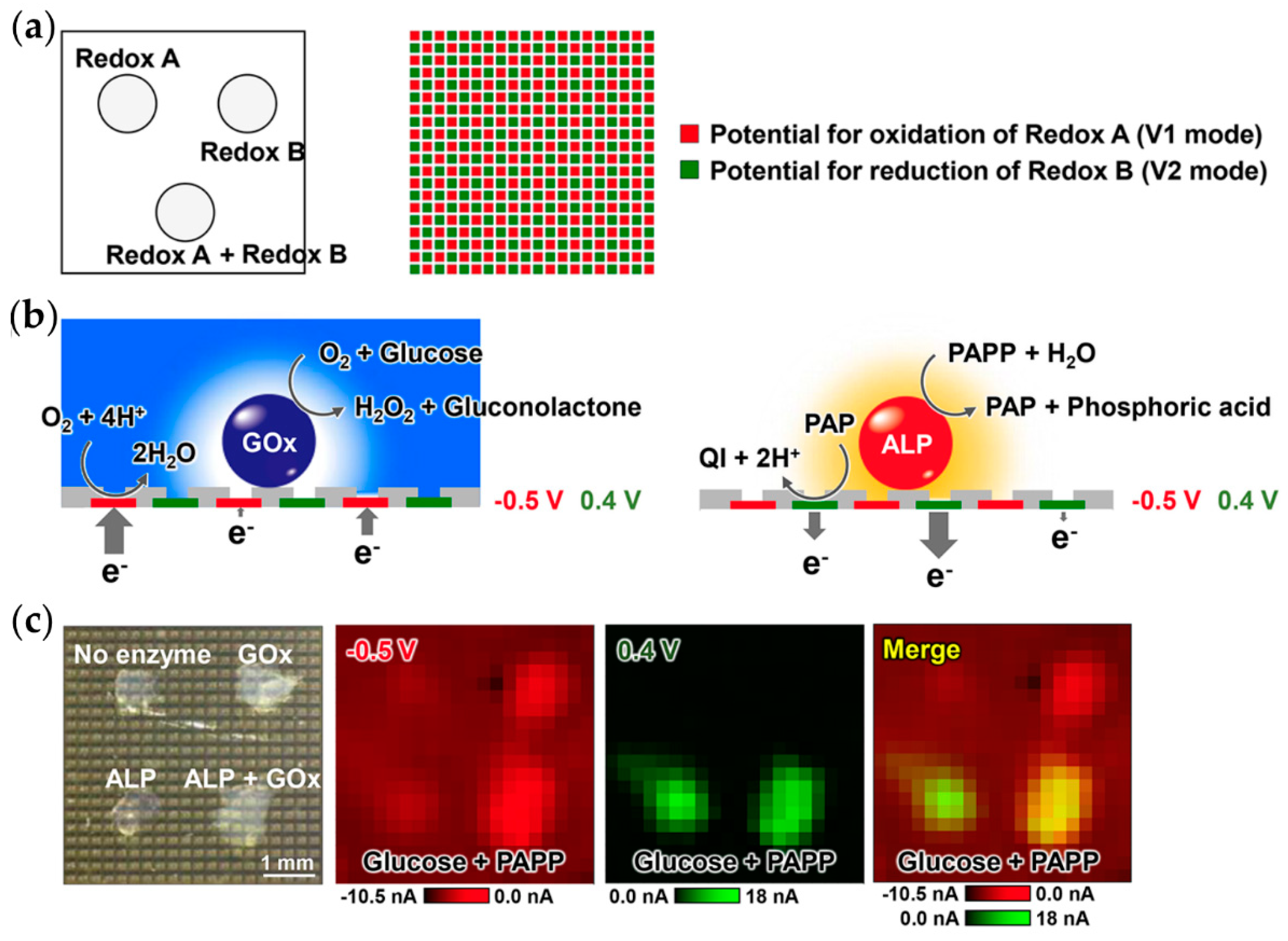 Chemosensors 06 00024 g009