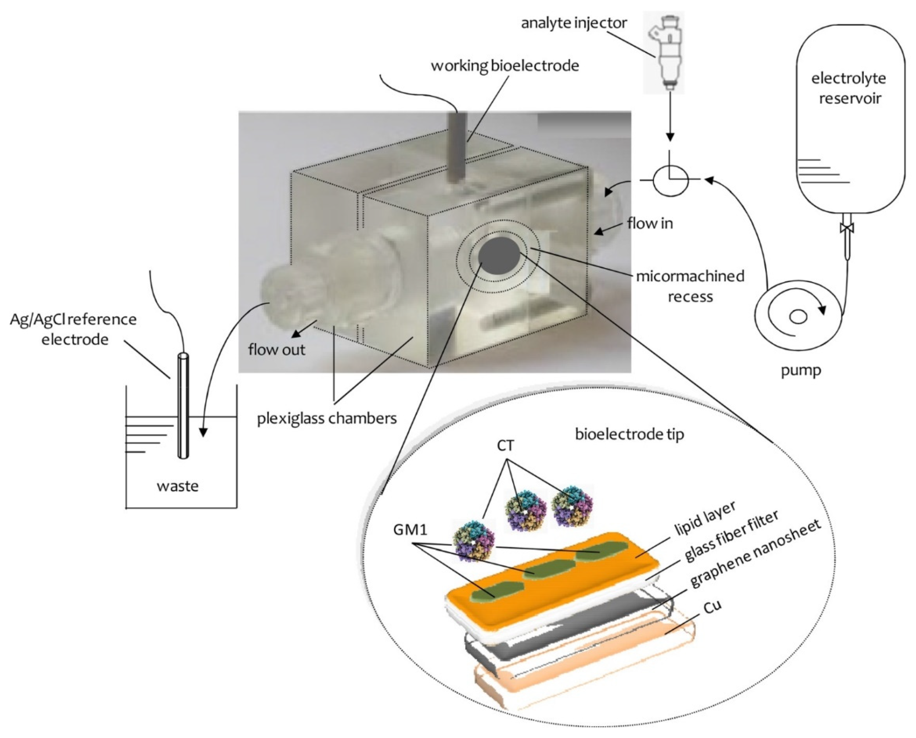 Chemosensors 06 00025 g002