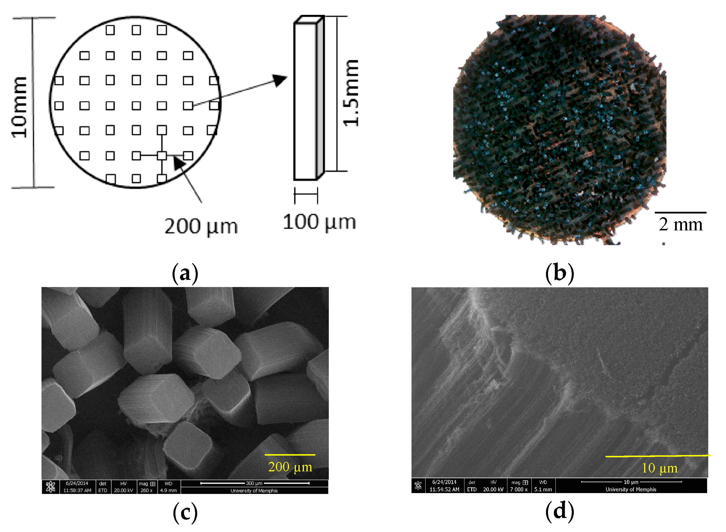 Chemosensors 06 00027 g001
