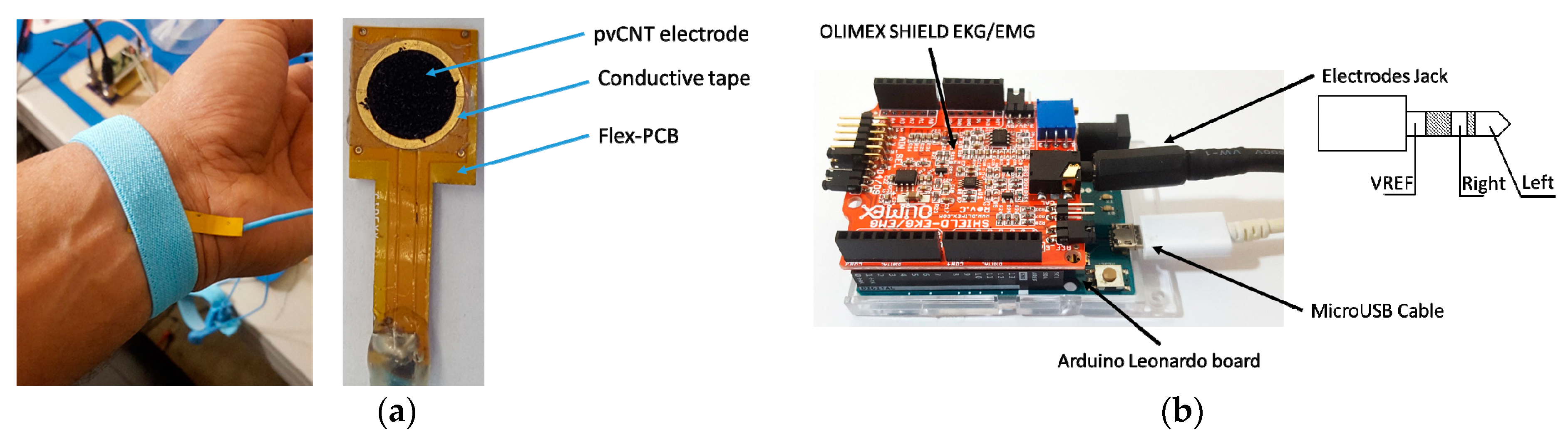 Chemosensors 06 00027 g004