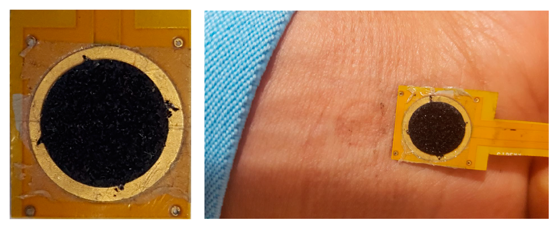 Chemosensors 06 00027 g010