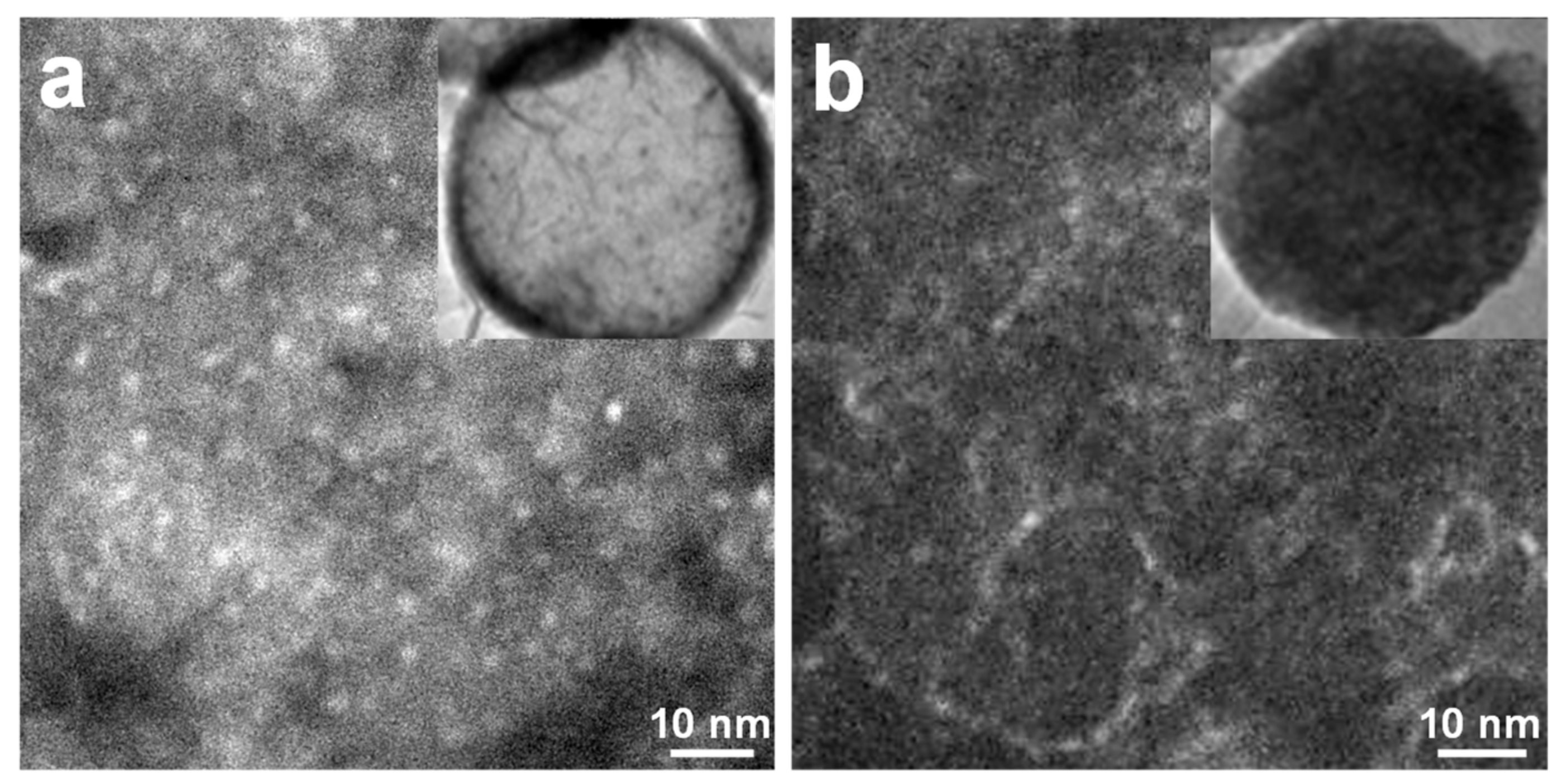 Chemosensors 06 00034 g006