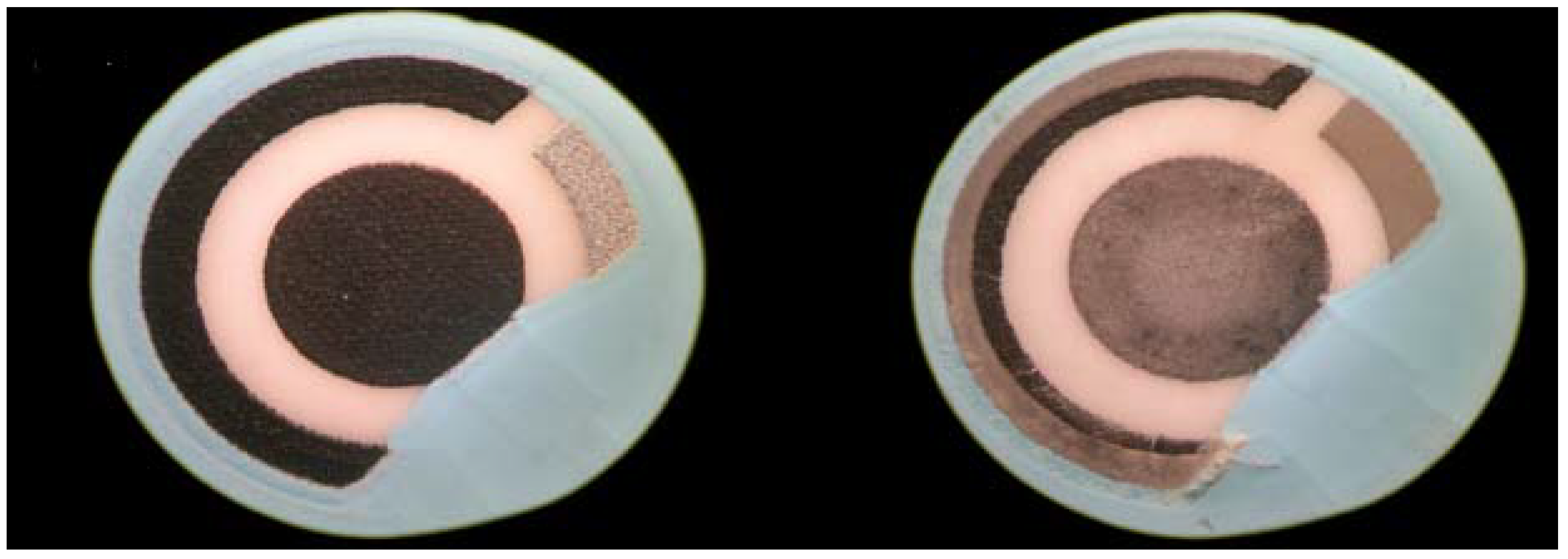 Chemosensors 06 00037 g006