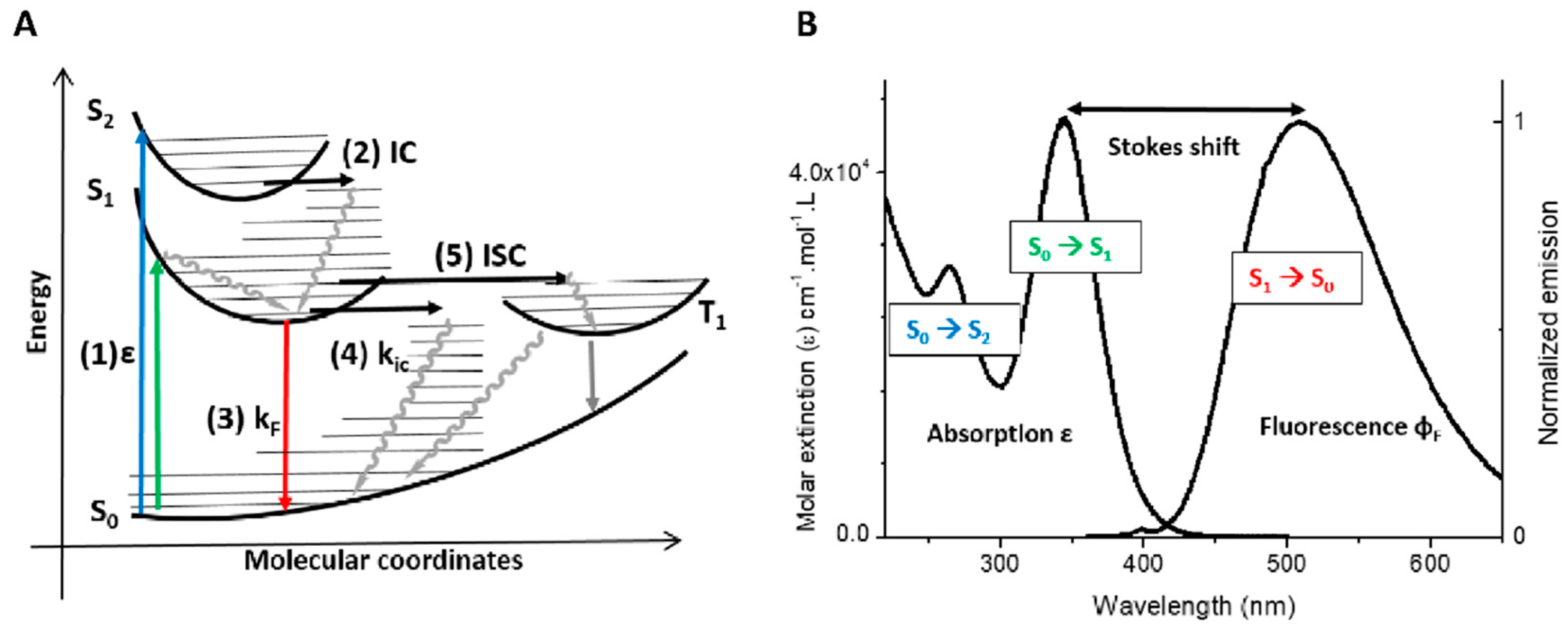 Chemosensors 06 00040 g002