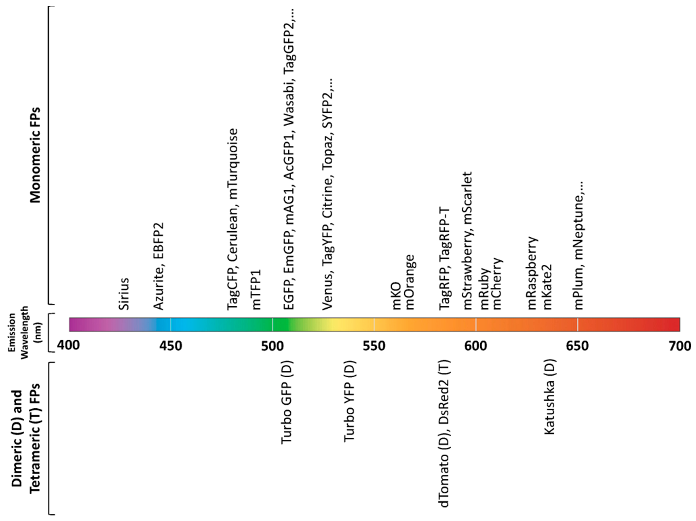 Chemosensors 06 00040 g004
