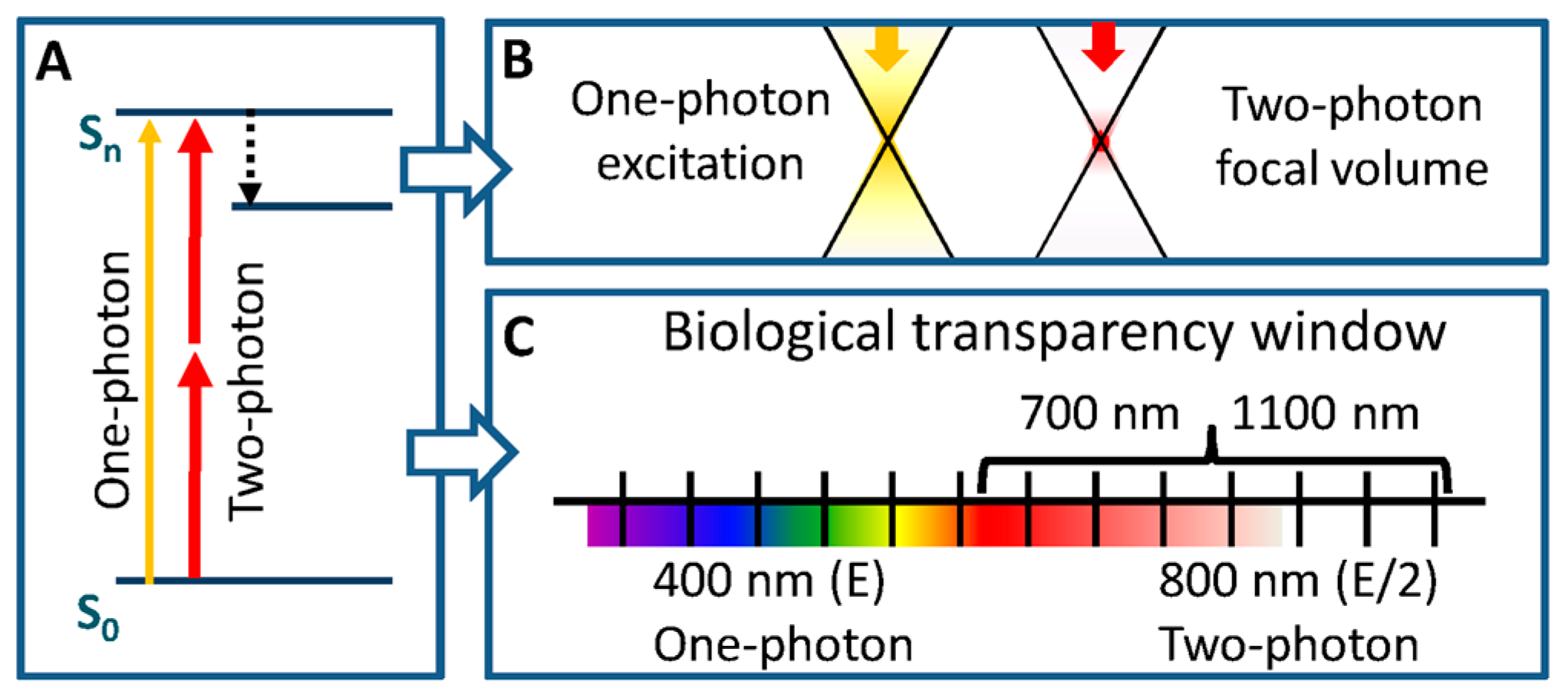 Chemosensors 06 00040 g005