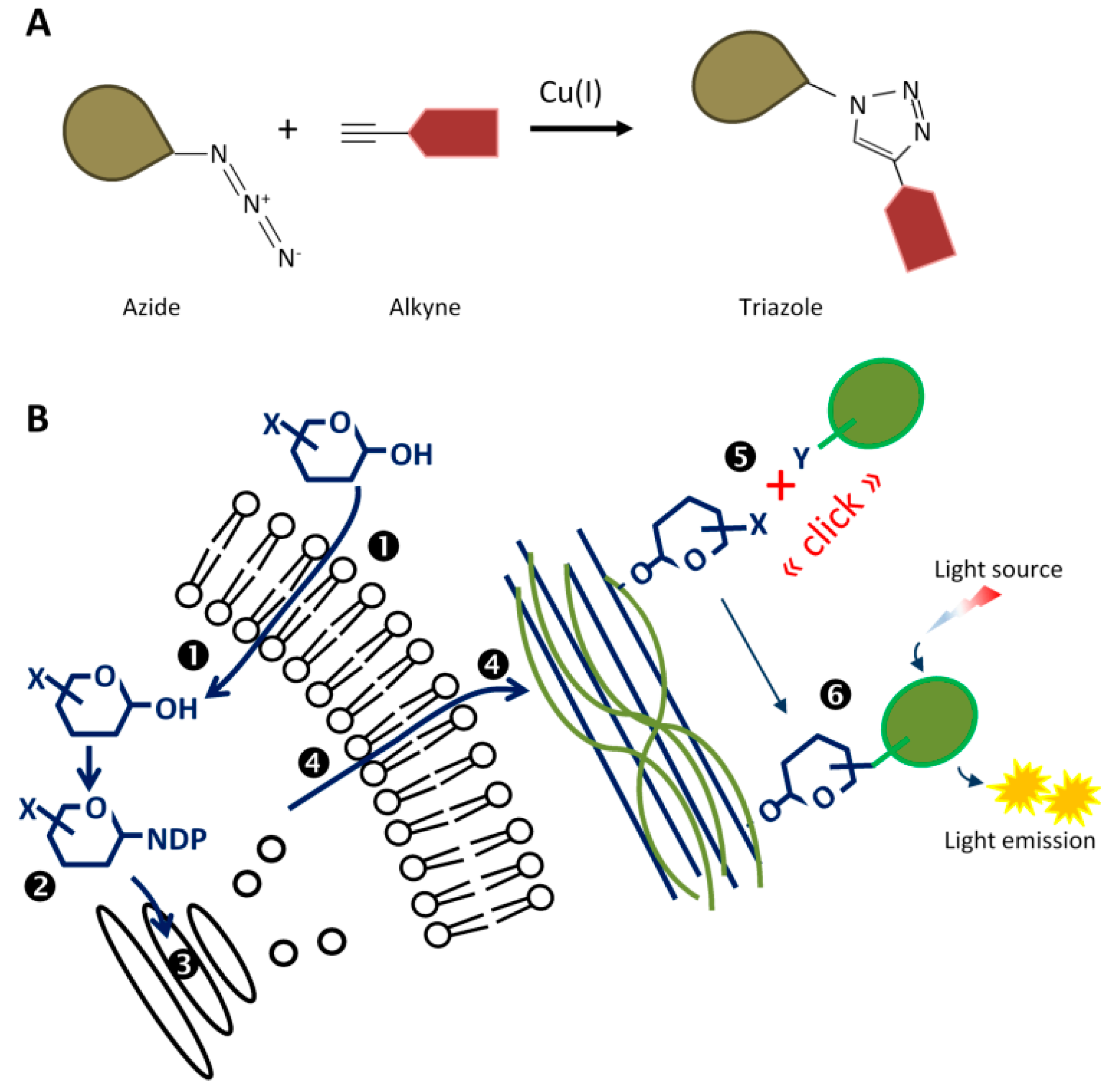 Chemosensors 06 00040 g010