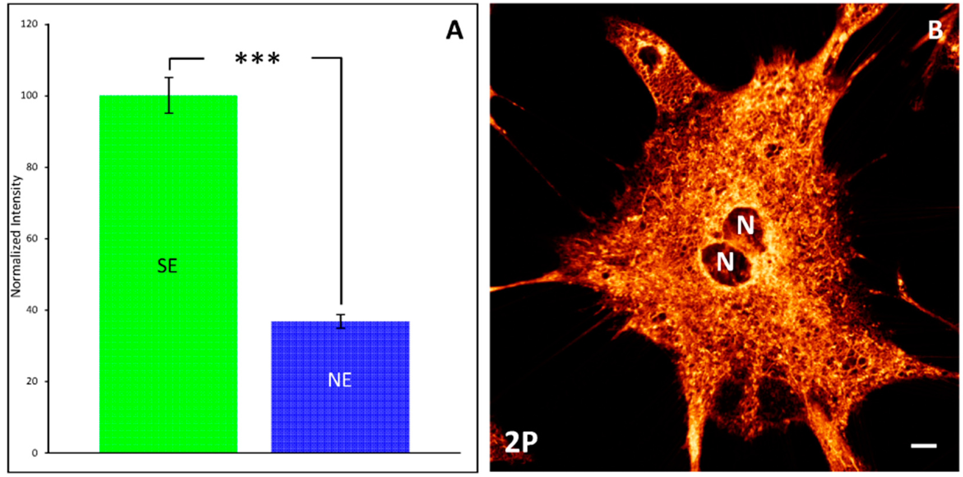 Chemosensors 06 00040 g015