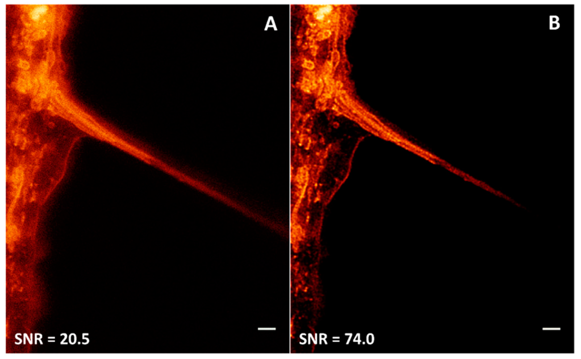 Chemosensors 06 00040 g019