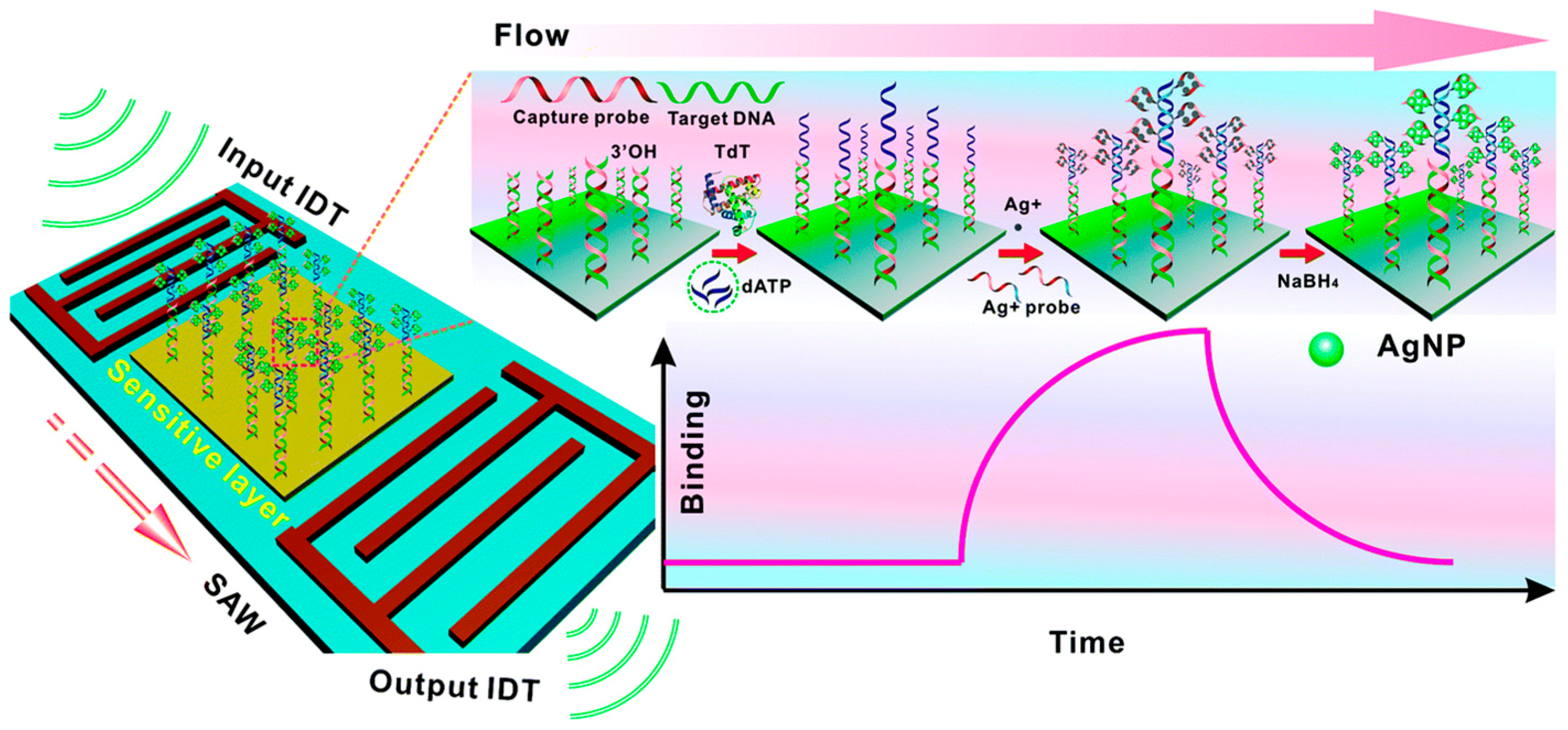 Chemosensors 06 00043 g007