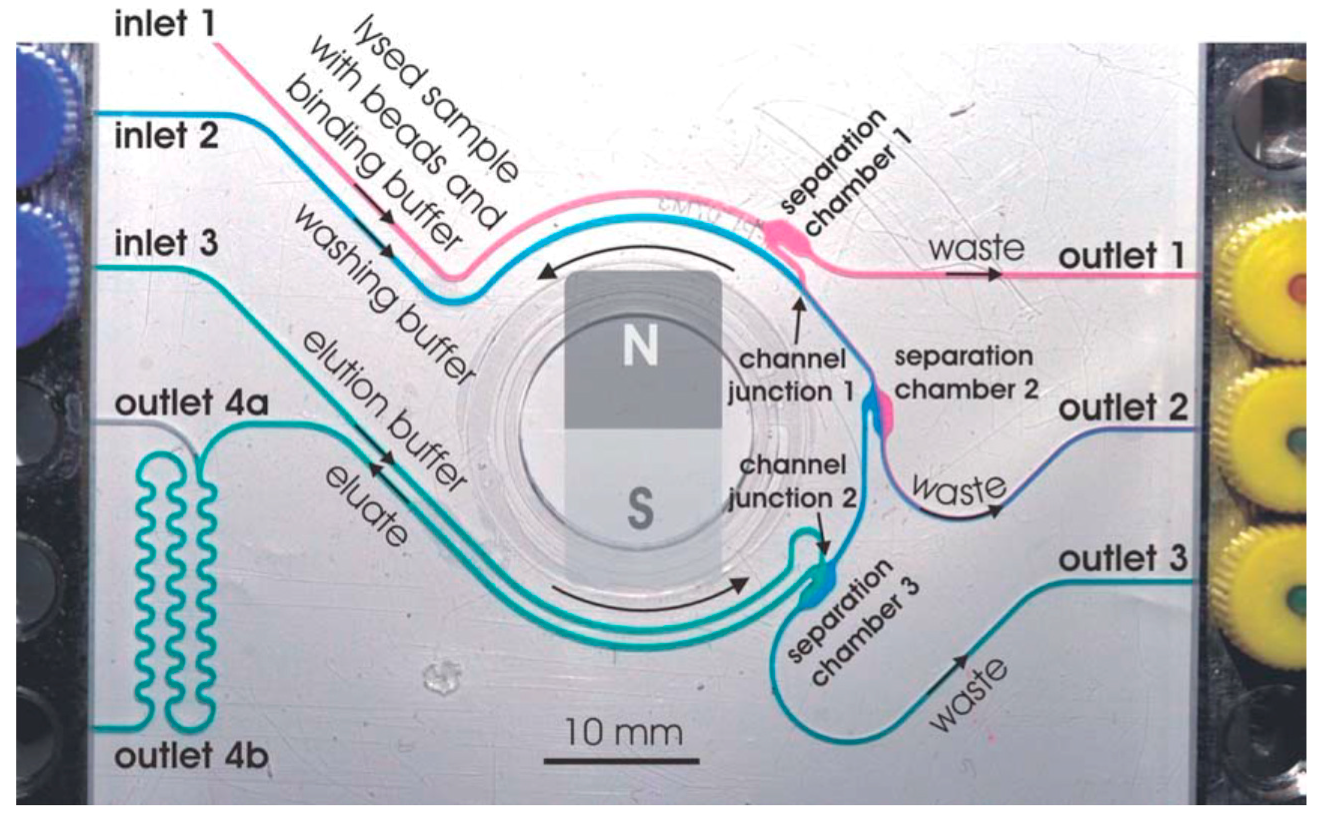 Chemosensors 06 00043 g008