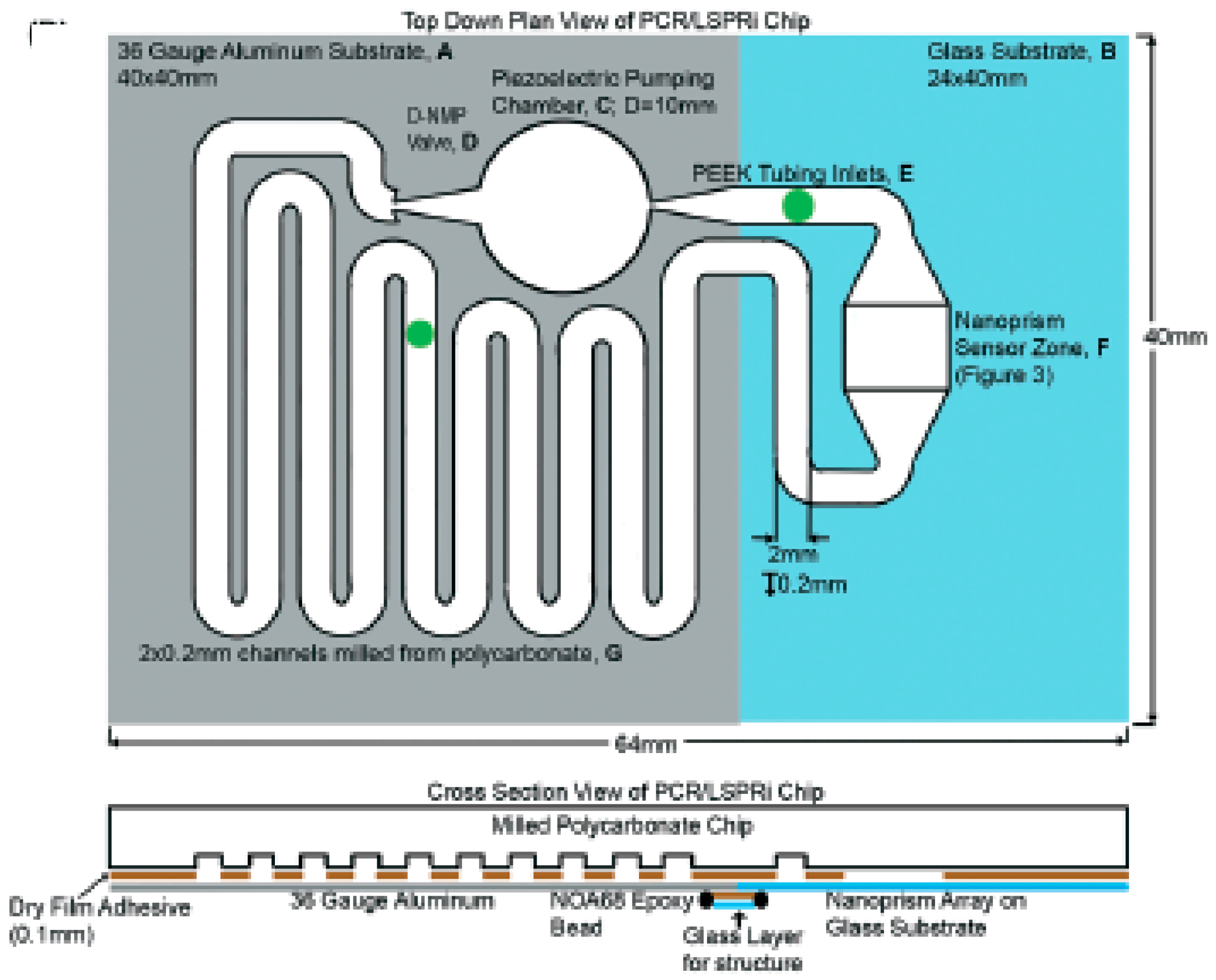Chemosensors 06 00043 g011