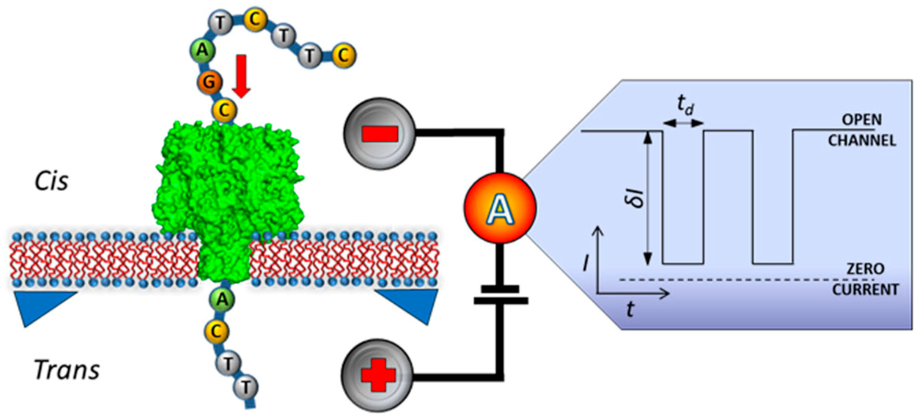 Chemosensors 06 00043 g012